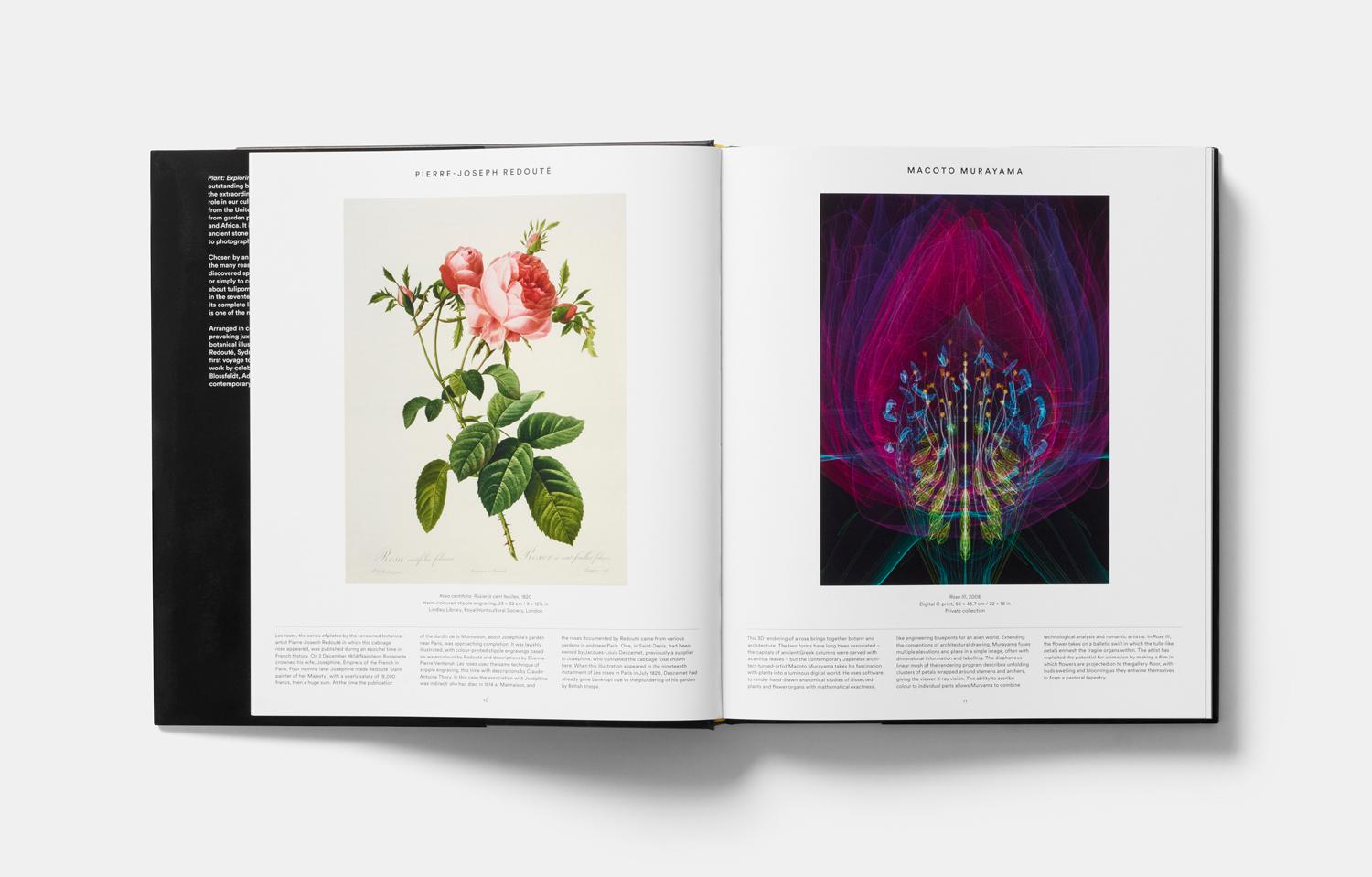 The ultimate gift for gardeners and art-lovers, featuring 300 of the most beautiful and pioneering botanical images ever

Following in the footsteps of the international bestseller Map: Exploring the World, this fresh and visually stunning survey