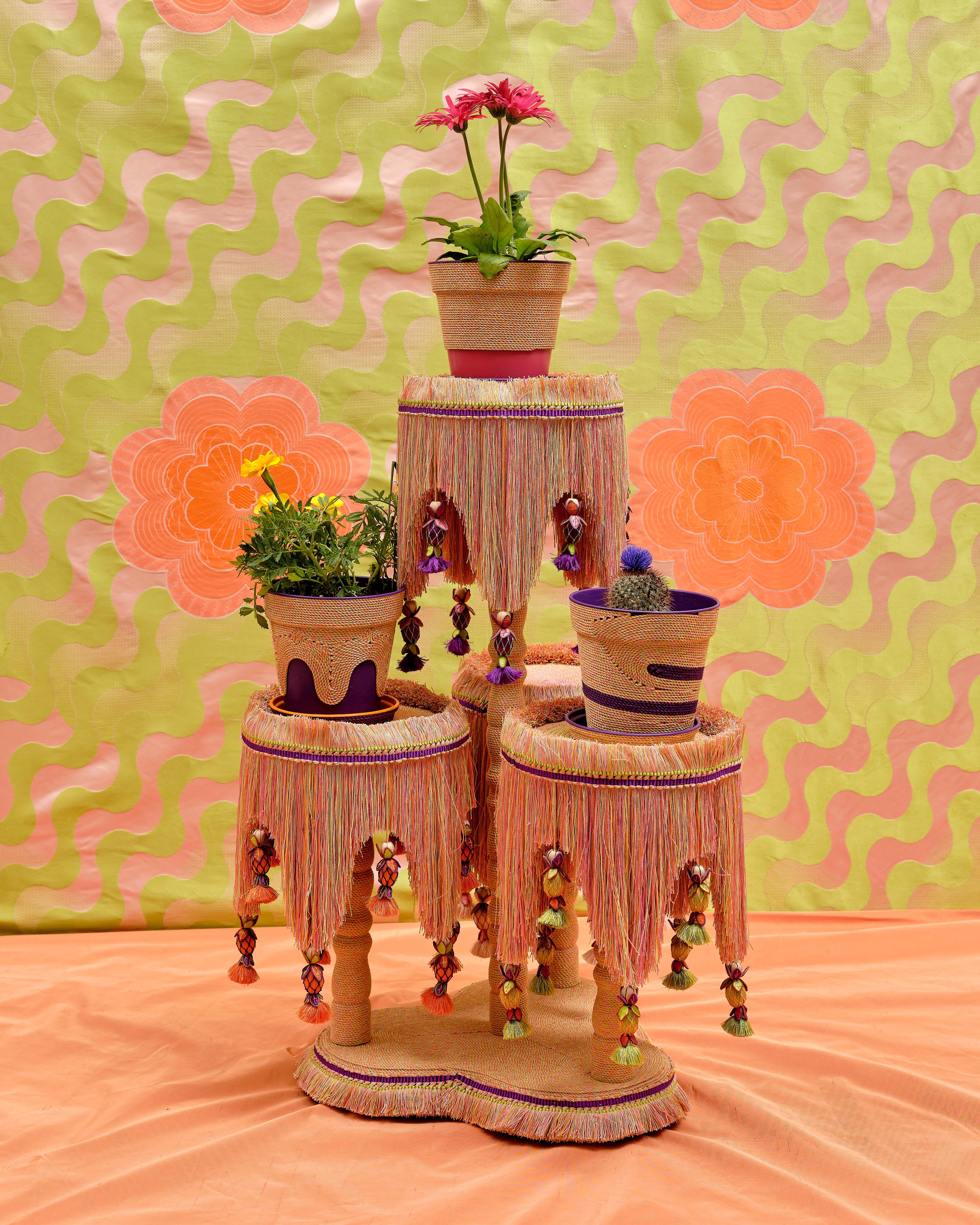 Plant holder 