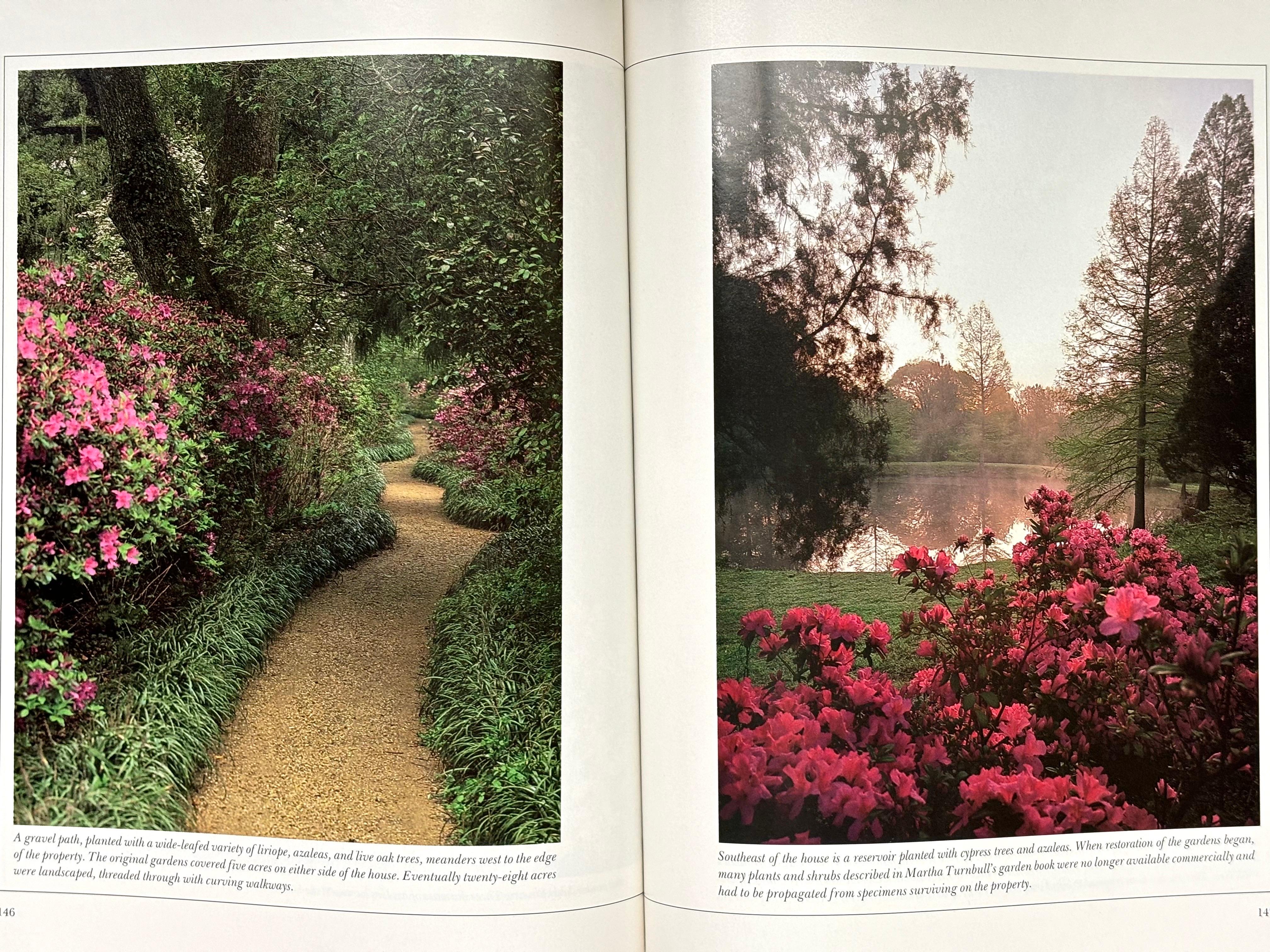 Paper Plantations of the Old South by Henry Wiencek