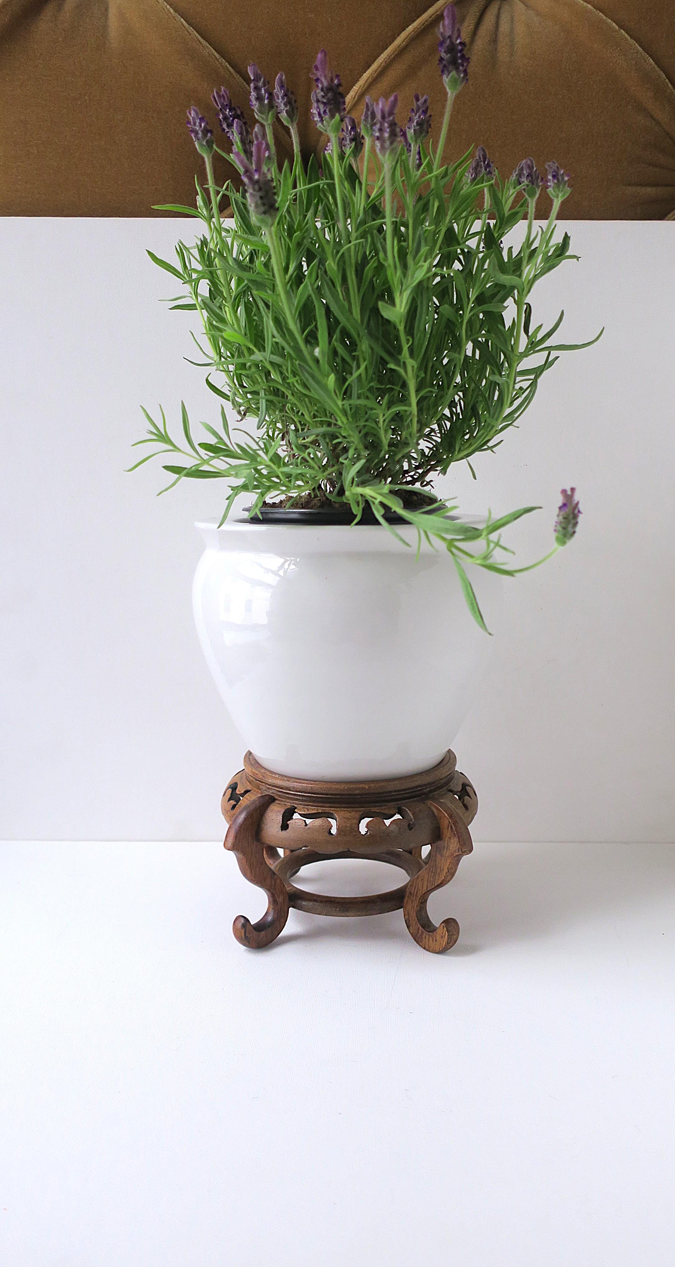 XX secolo Fioriera Cachepot Jardinière con supporto in vendita