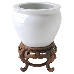 Planter Cachepot Jardinière with Stand
