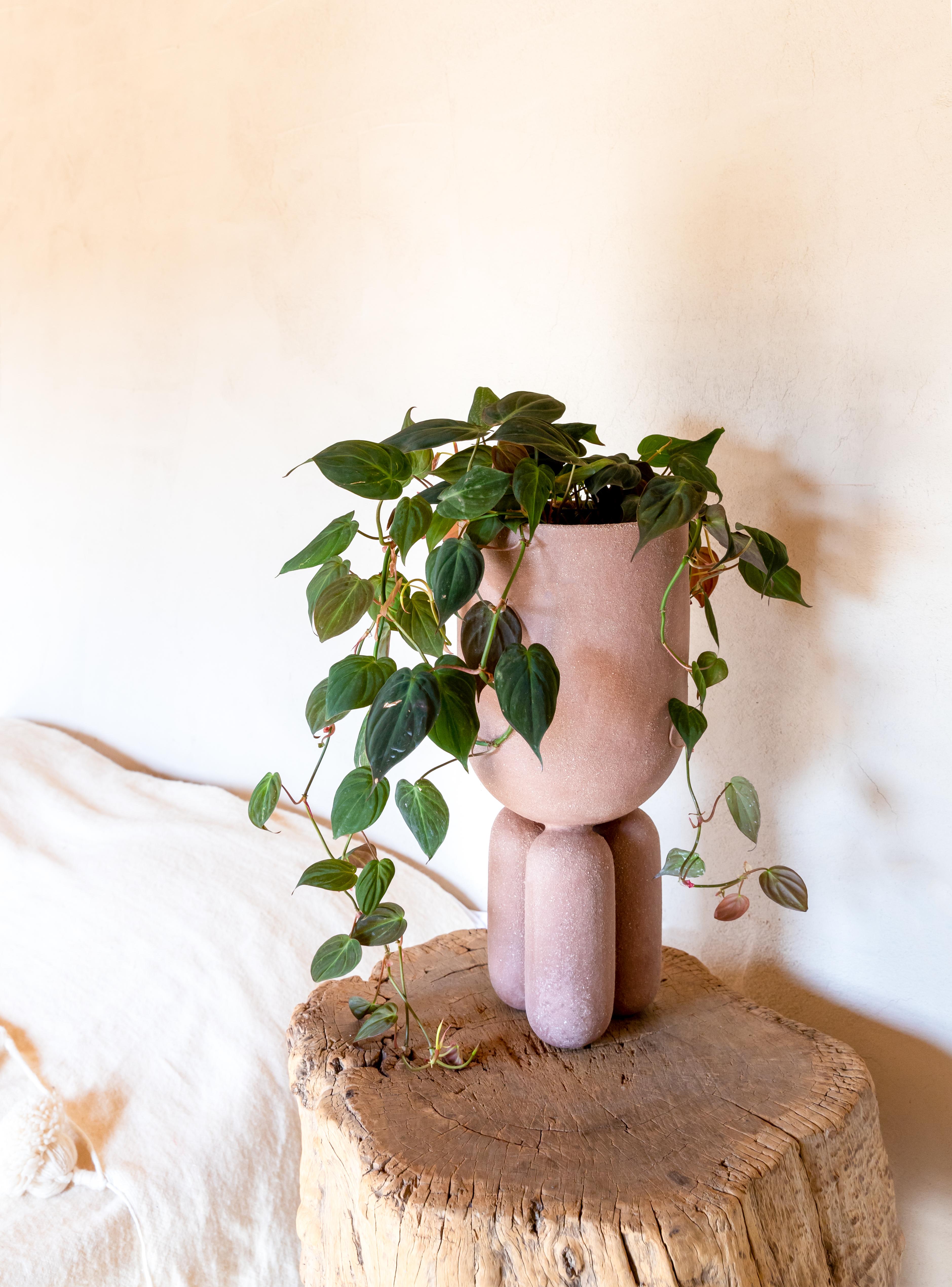 Planter clay vase by Lisa Allegra
Dimensions: ø 19 x 5 x 44 cm
Materials: Clay
Variations available.

Born in 1986 in Paris, Lisa Allegra has earned in 2010 a degree in furniture design from the École Supérieure des Arts Décoratifs. She has
