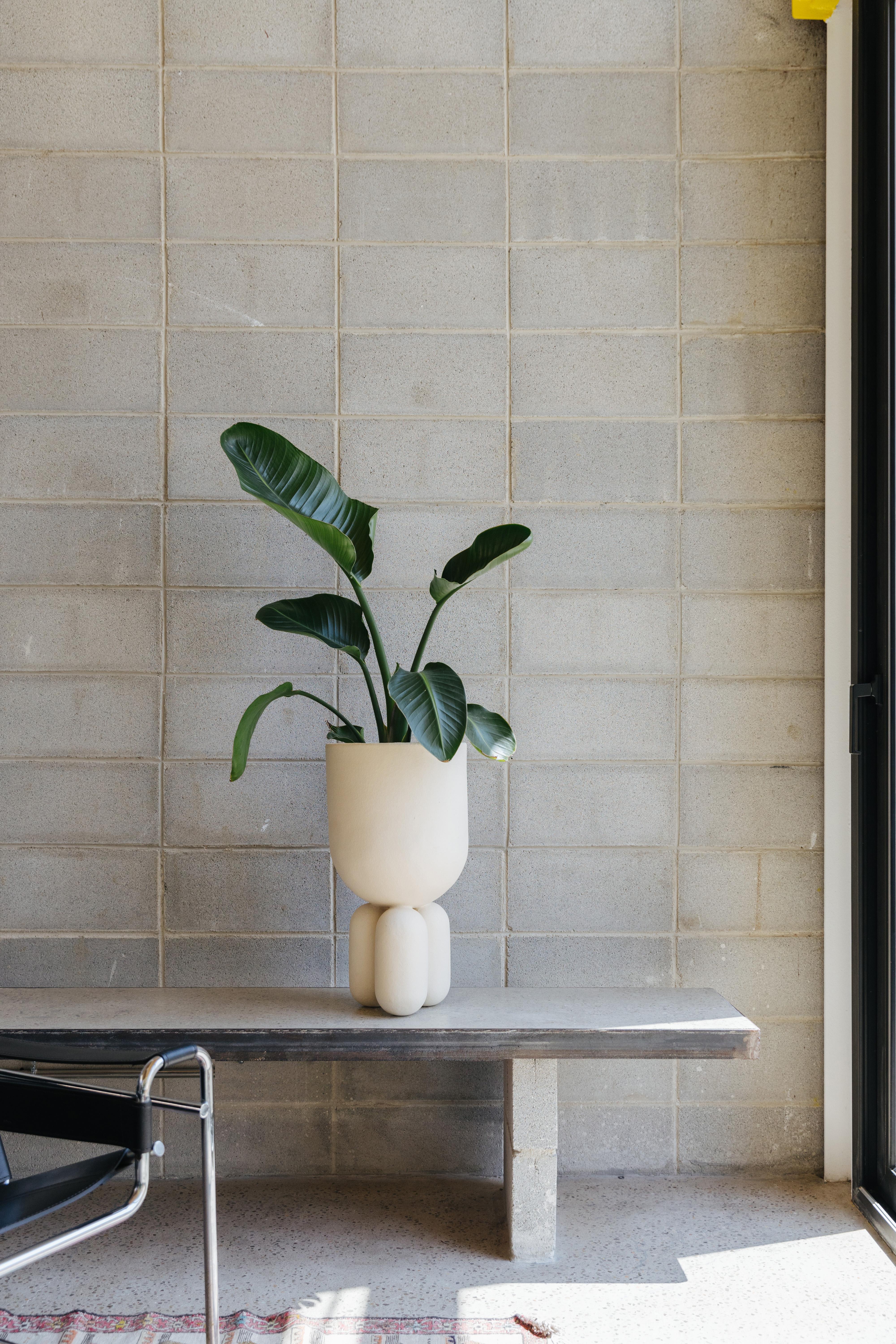 Spagnolo Vaso Planter Clay 30 di Lisa Allegra in vendita