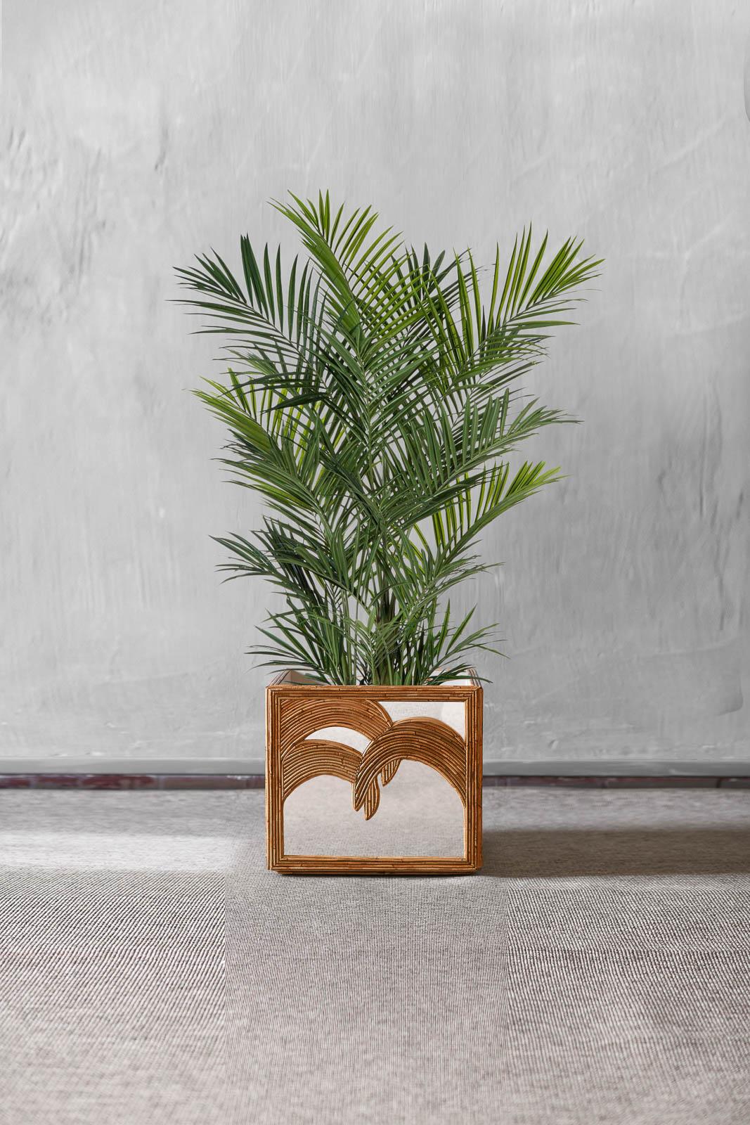 Large Vivai Del Sud planter with wooden structure and mirror with palm trees, and invisible wheels
Product details
Dimensions 70 W x 70 H x 70 D
The planter is in very good condition.
Do not hesitate to contact us for more informations or photos.