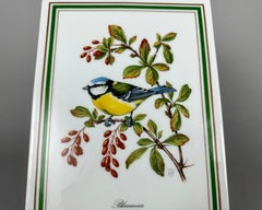 Plaque Wall Bird Fruit Decor Porcelain Vintage Wall Decorations Tettau, Germany