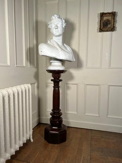 Plaster Bust