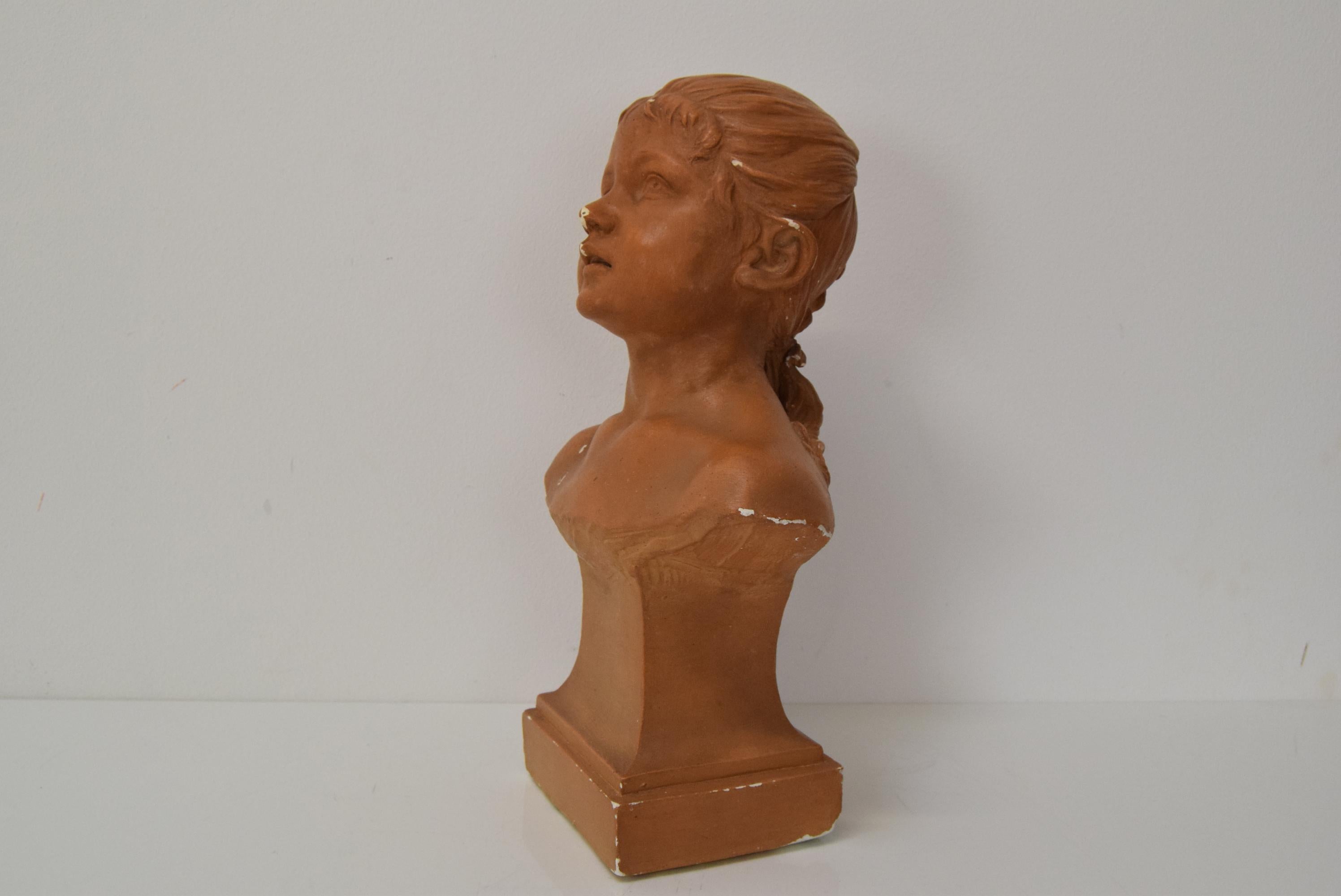 Plaster bust from the Belle Époque period by Jindřich Říha, 1890s. For Sale 5