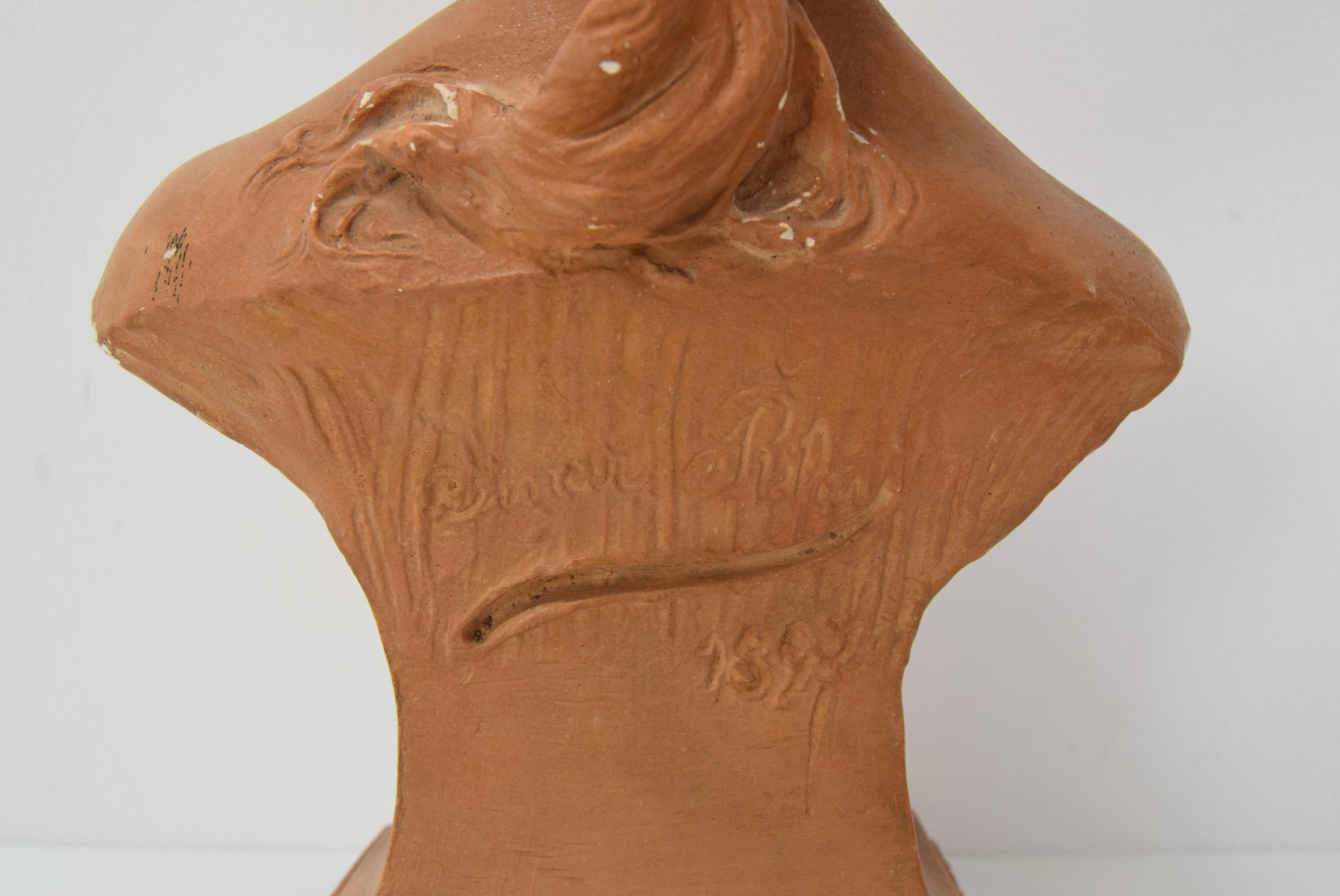 Plaster bust from the Belle Époque period by Jindřich Říha, 1890s. For Sale 6