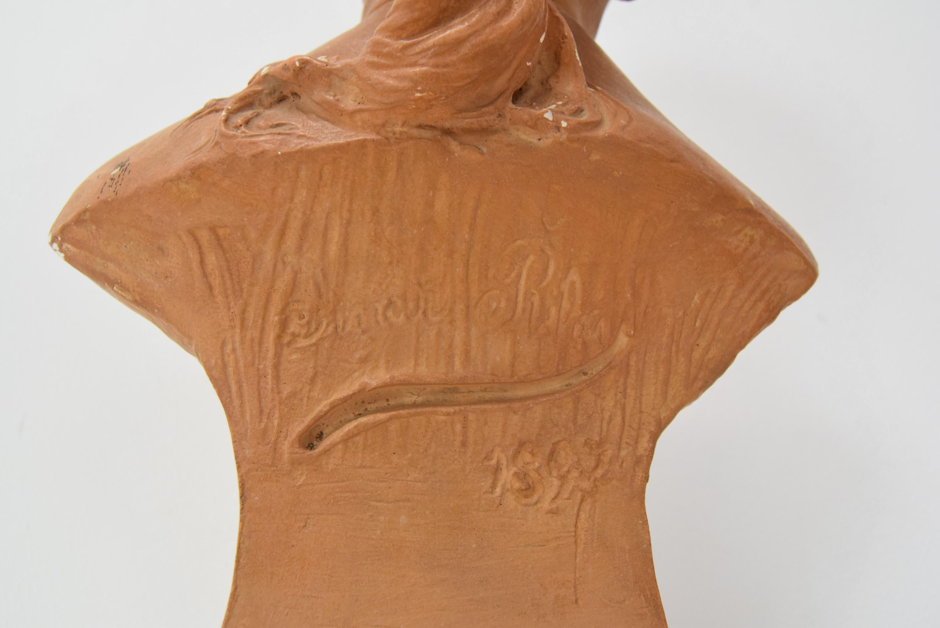 Plaster bust from the Belle Époque period by Jindřich Říha, 1890s. For Sale 7