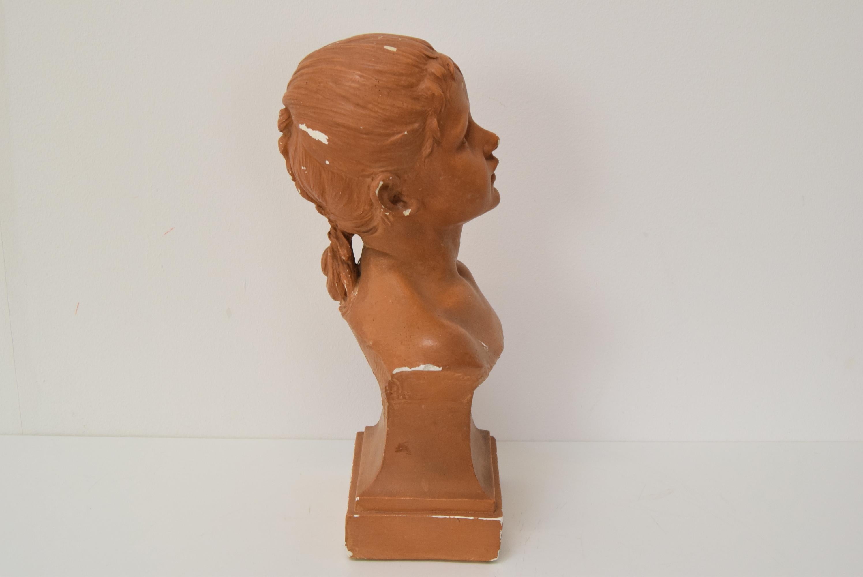 Plaster bust from the Belle Époque period by Jindřich Říha, 1890s. For Sale 1