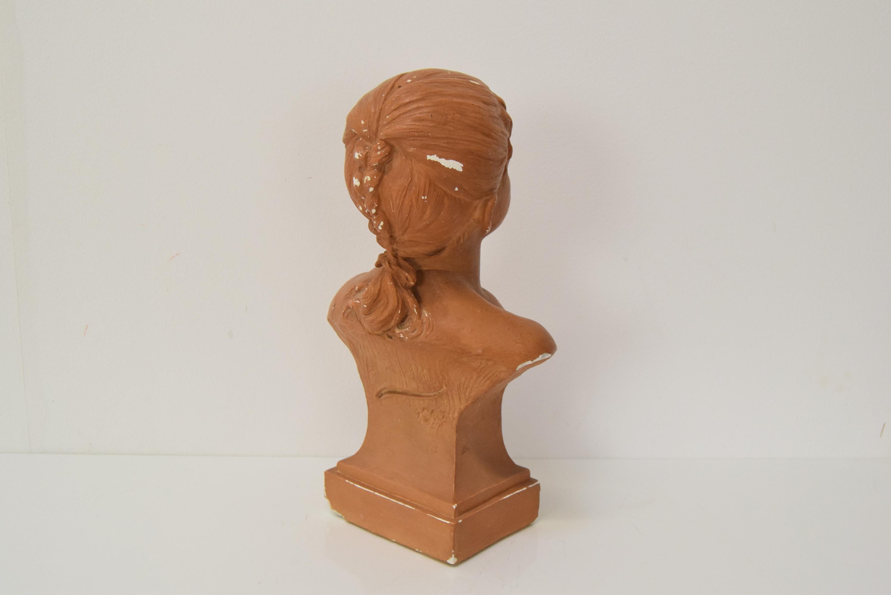 Plaster bust from the Belle Époque period by Jindřich Říha, 1890s. For Sale 2
