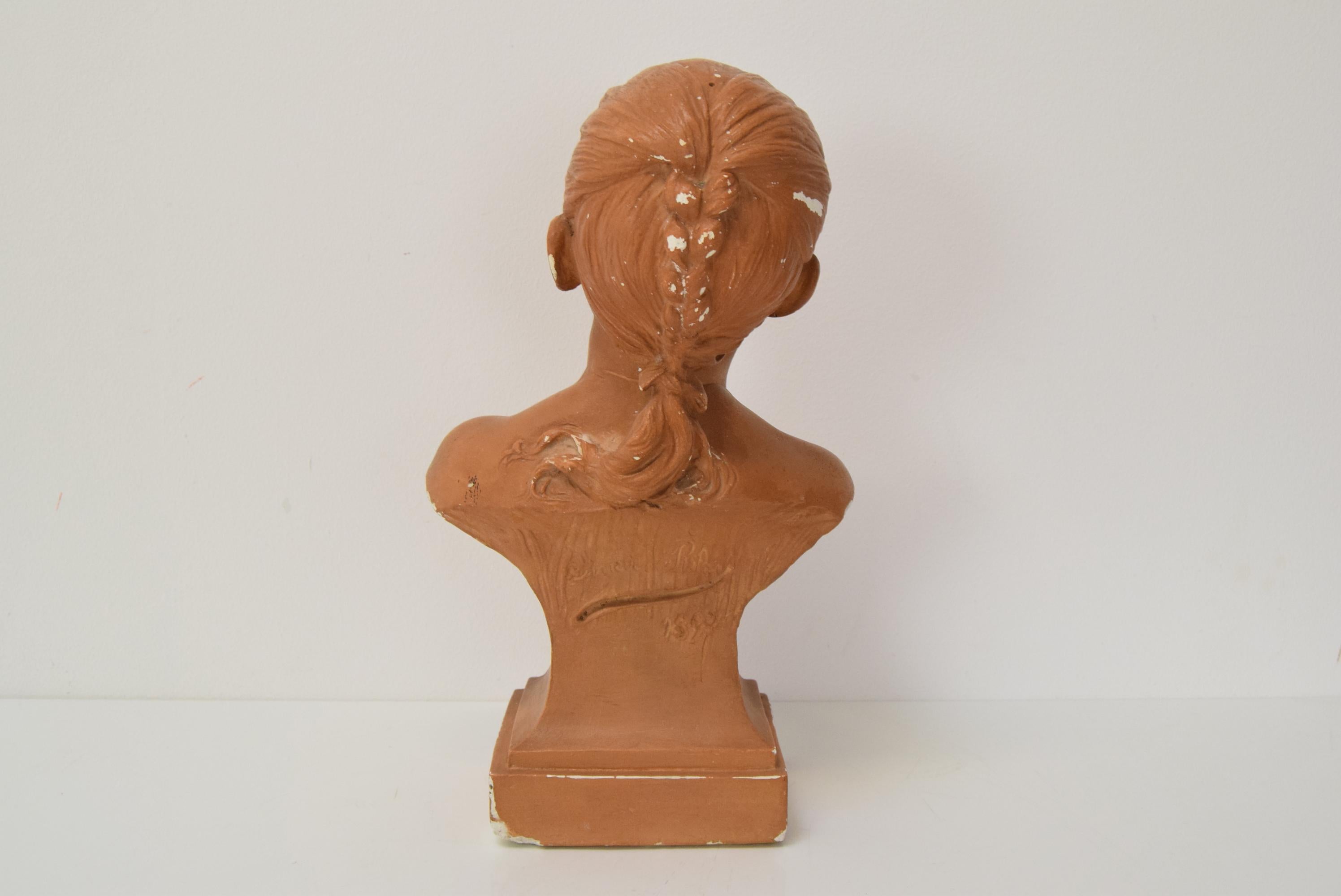 Plaster bust from the Belle Époque period by Jindřich Říha, 1890s. For Sale 3