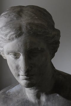 Plaster bust from the Venus of Milo