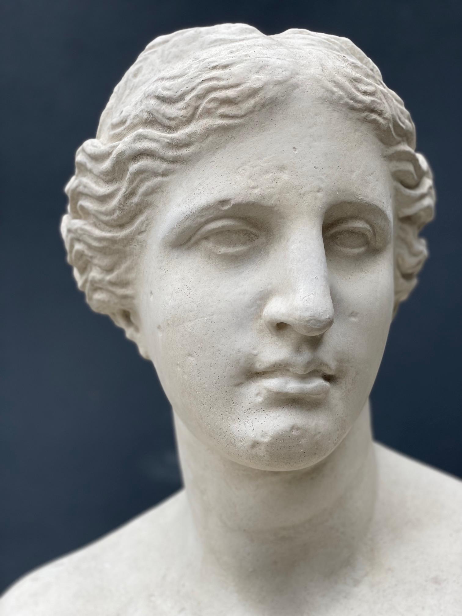Un buste en plâtre de la déesse Aphrodite Vénus.

Une belle addition décorative à votre intérieur.