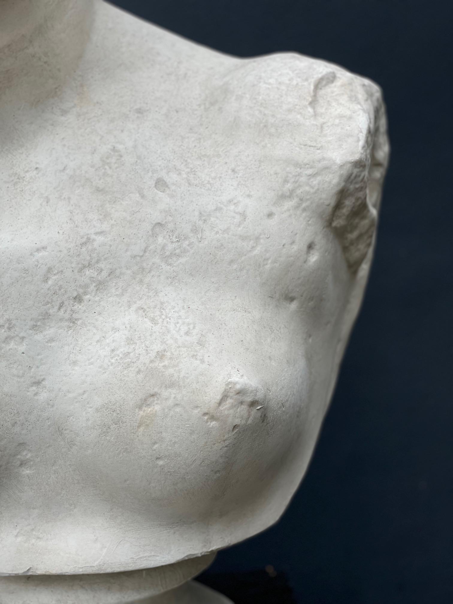 Grand Tour Buste en plâtre d'Aphrodite Vénus en vente