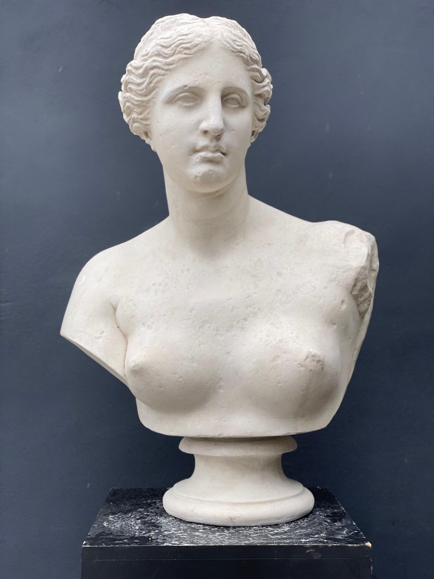 Britannique Buste en plâtre d'Aphrodite Vénus en vente