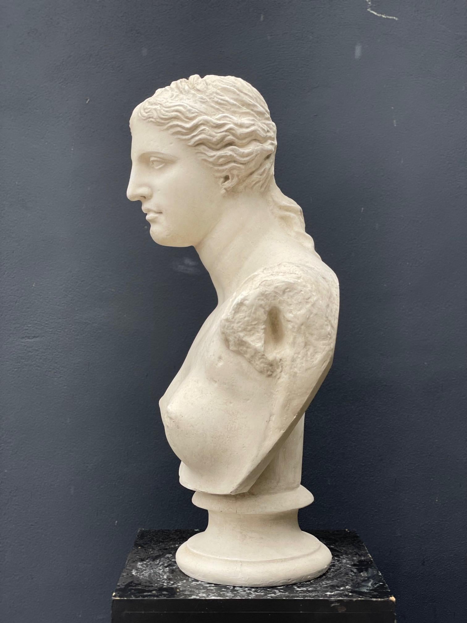Buste en plâtre d'Aphrodite Vénus Neuf - En vente à Bagshot, GB