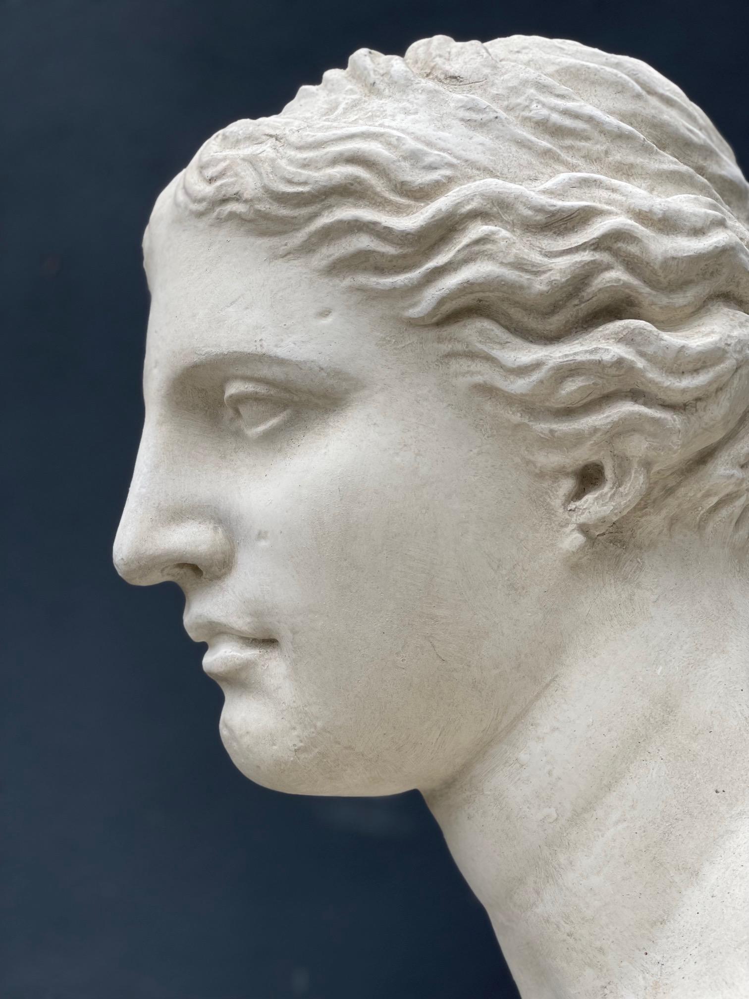 Grand Tour Plaster Bust of Aphrodite Venus For Sale