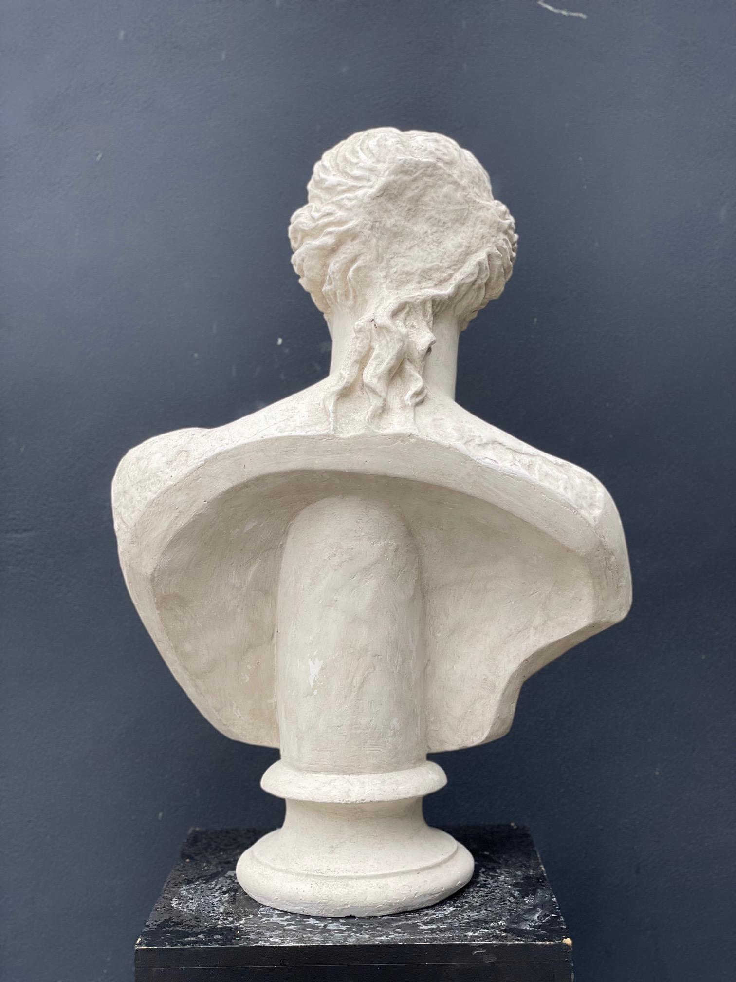 British Plaster Bust of Aphrodite Venus For Sale