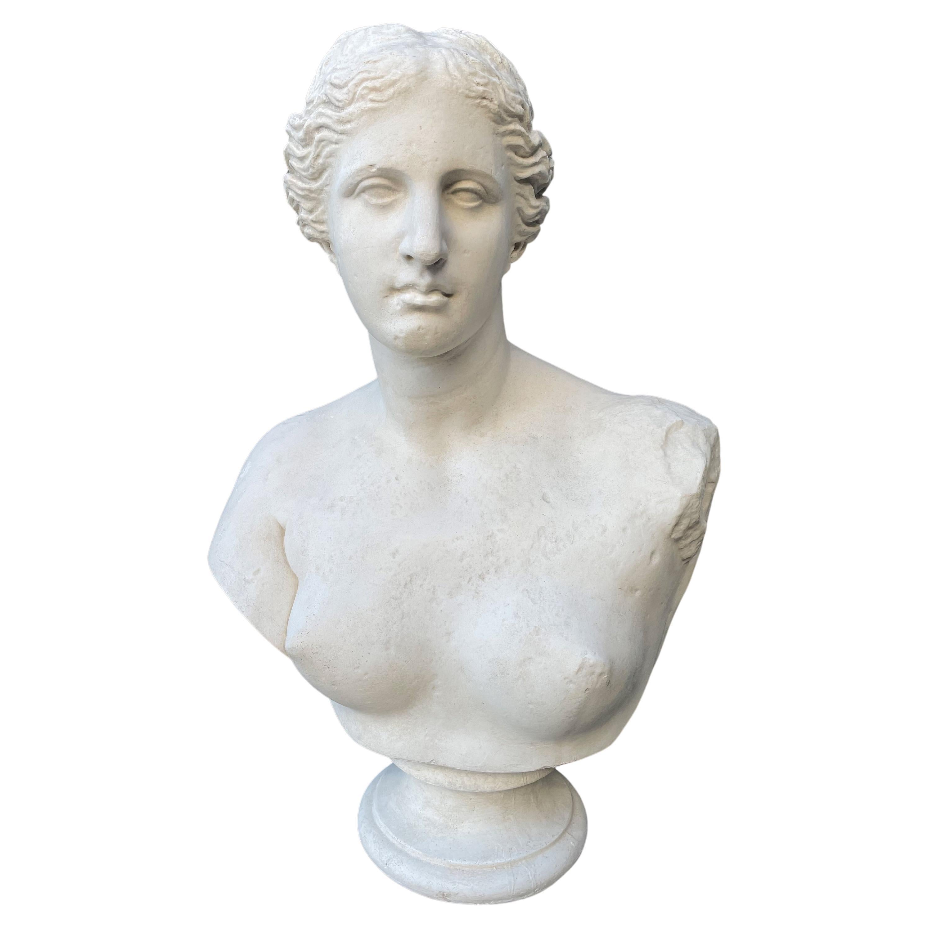 Plaster Bust of Aphrodite Venus