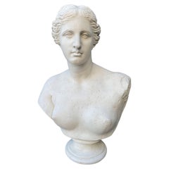Plaster Bust of Aphrodite Venus