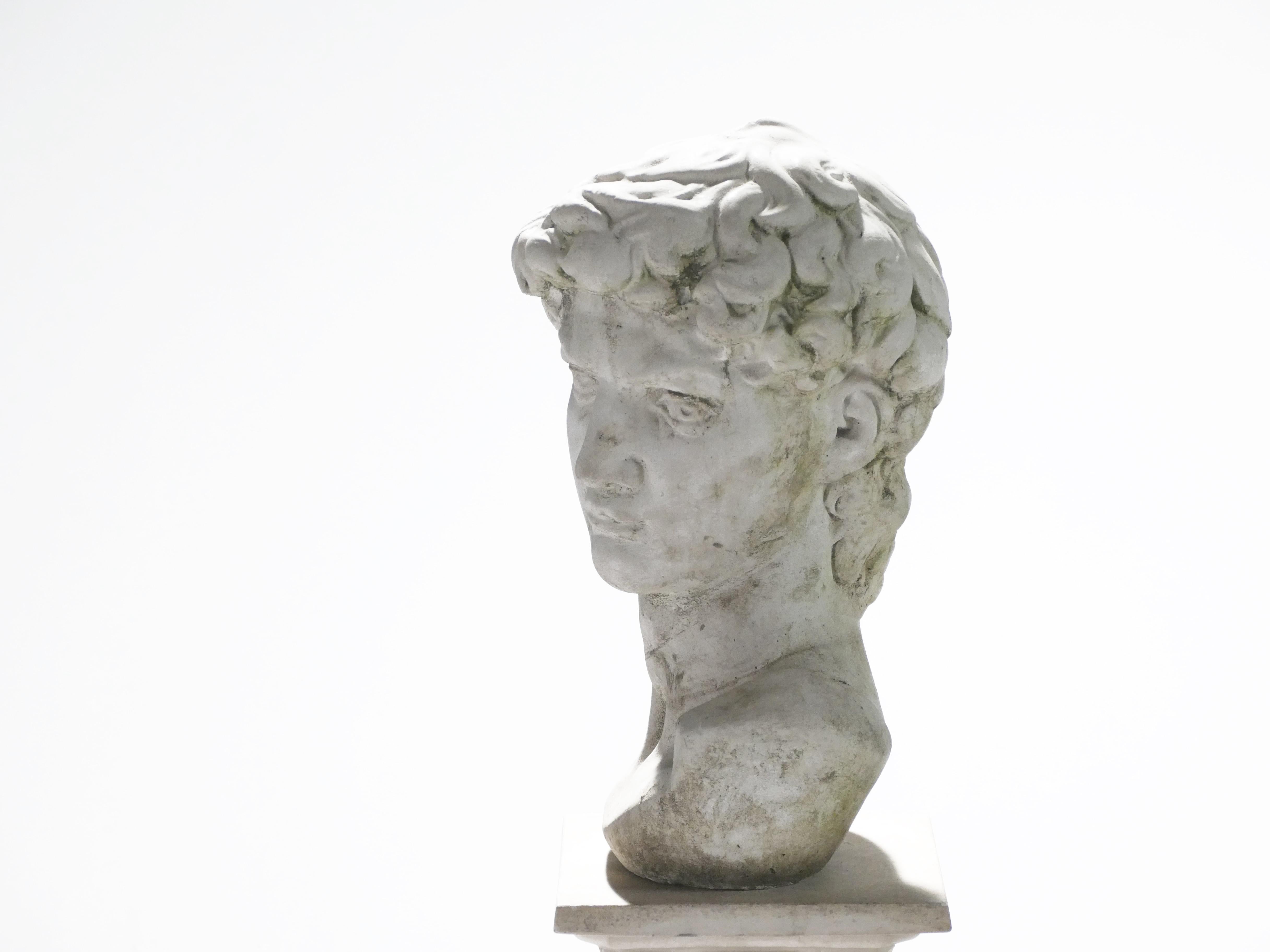 Neoclassical Plaster Bust of David, France, 1950s