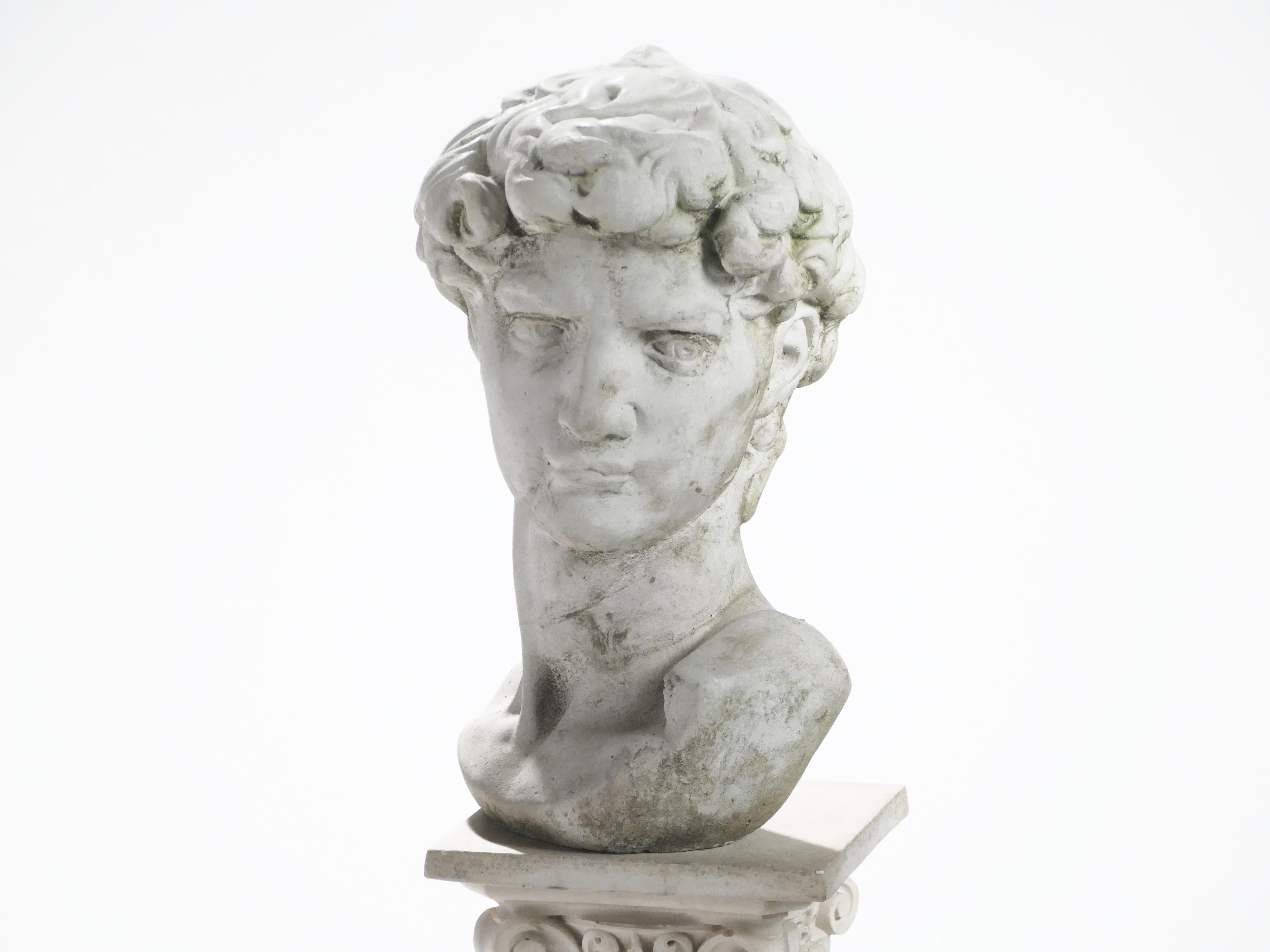 French Plaster Bust of David, France, 1950s