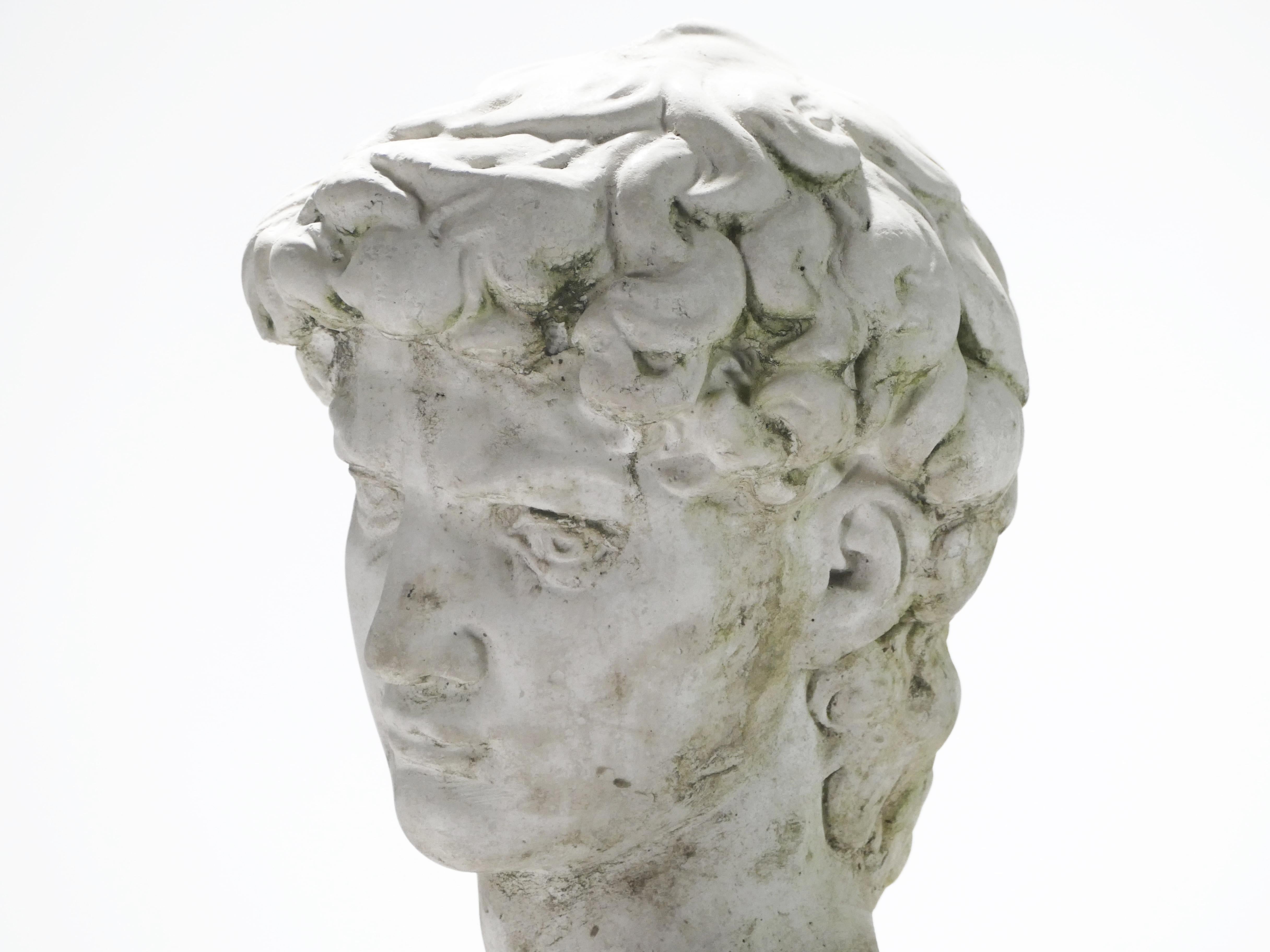 Mid-20th Century Plaster Bust of David, France, 1950s