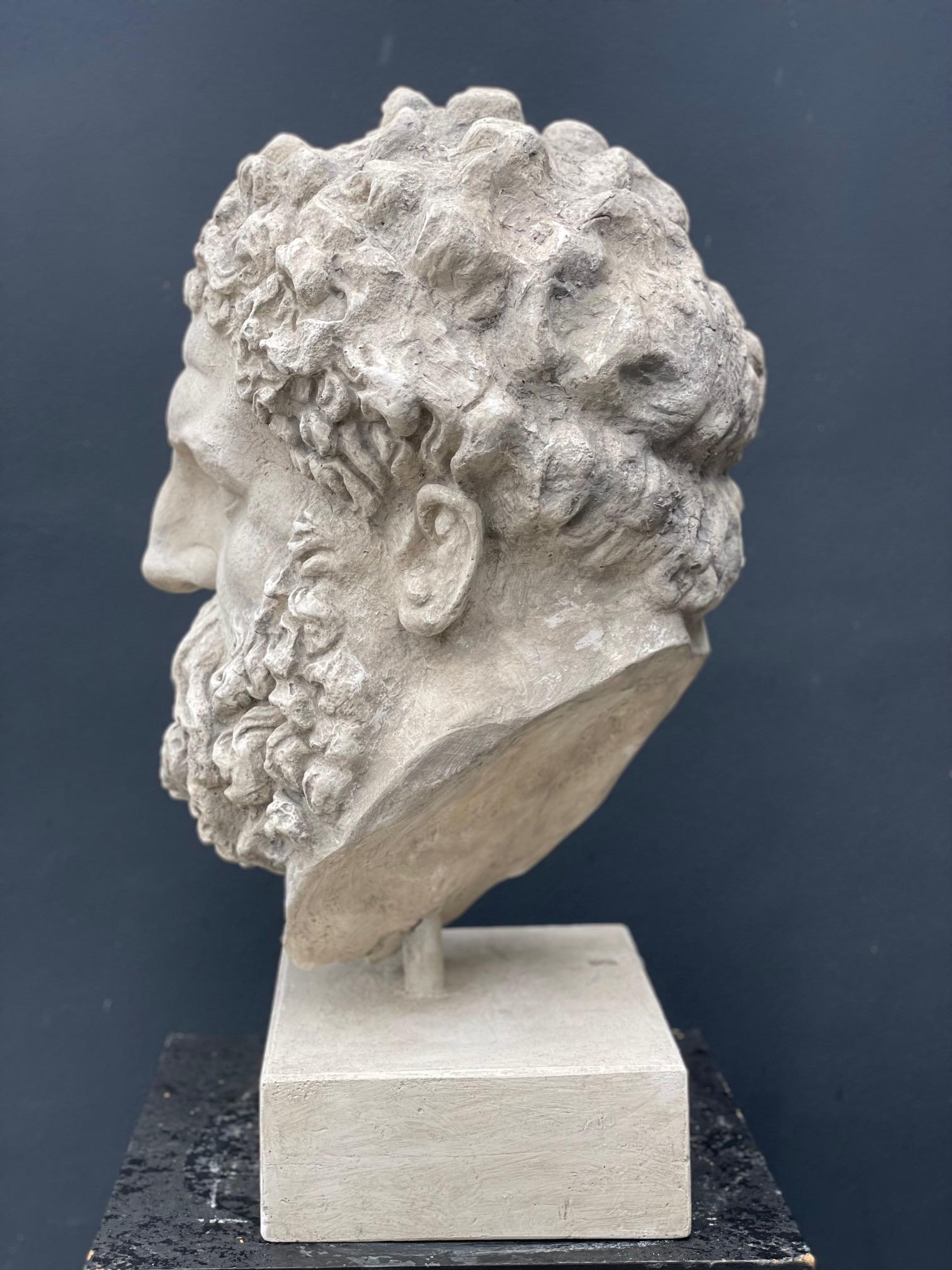 Grand Tour Buste d'Hercule en plâtre en vente
