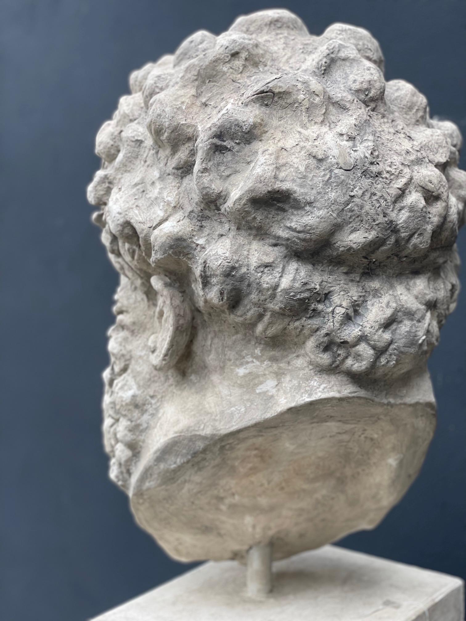 Buste d'Hercule en plâtre Neuf - En vente à Bagshot, GB