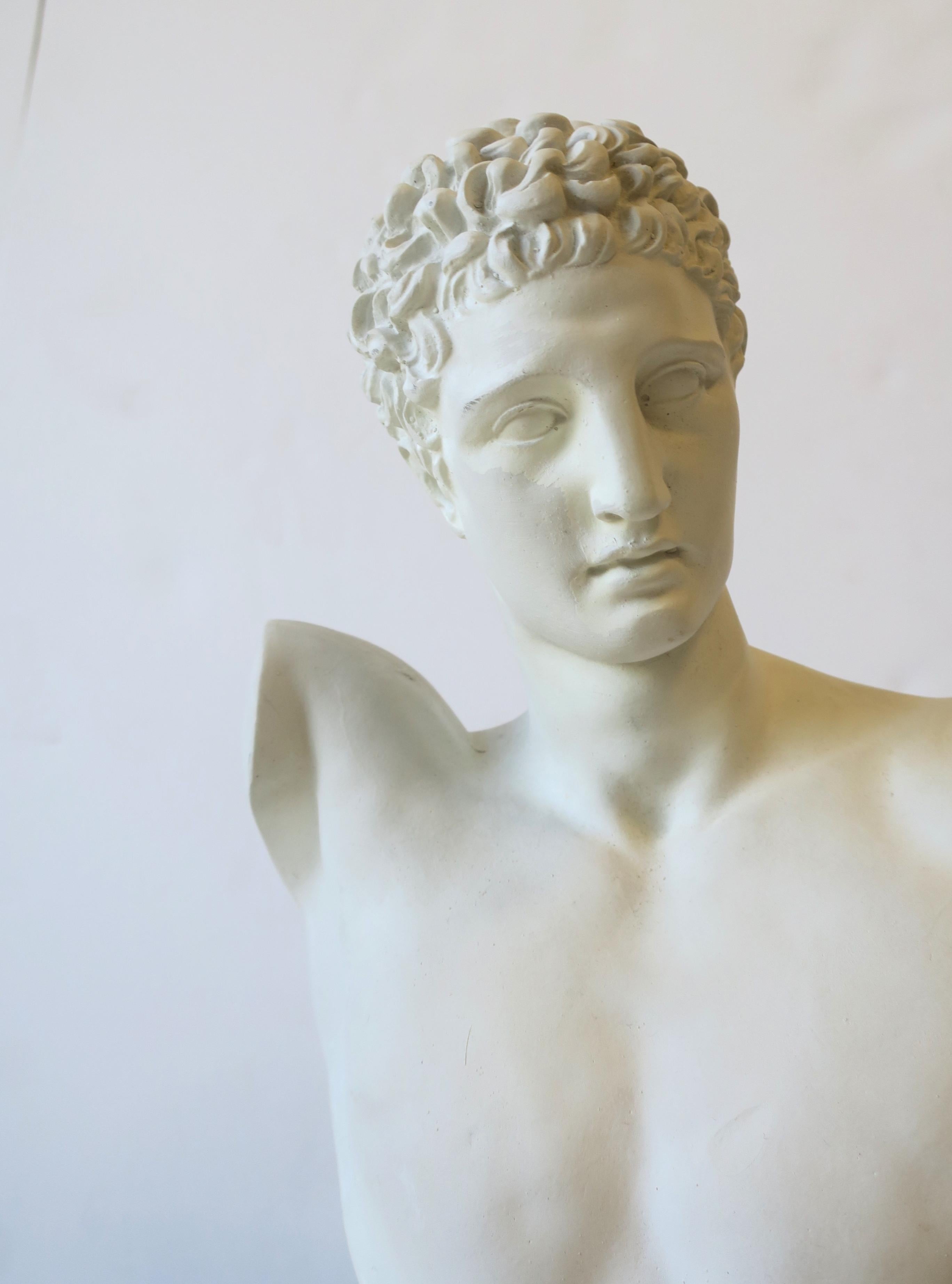 Plaster Bust of Hermes 8