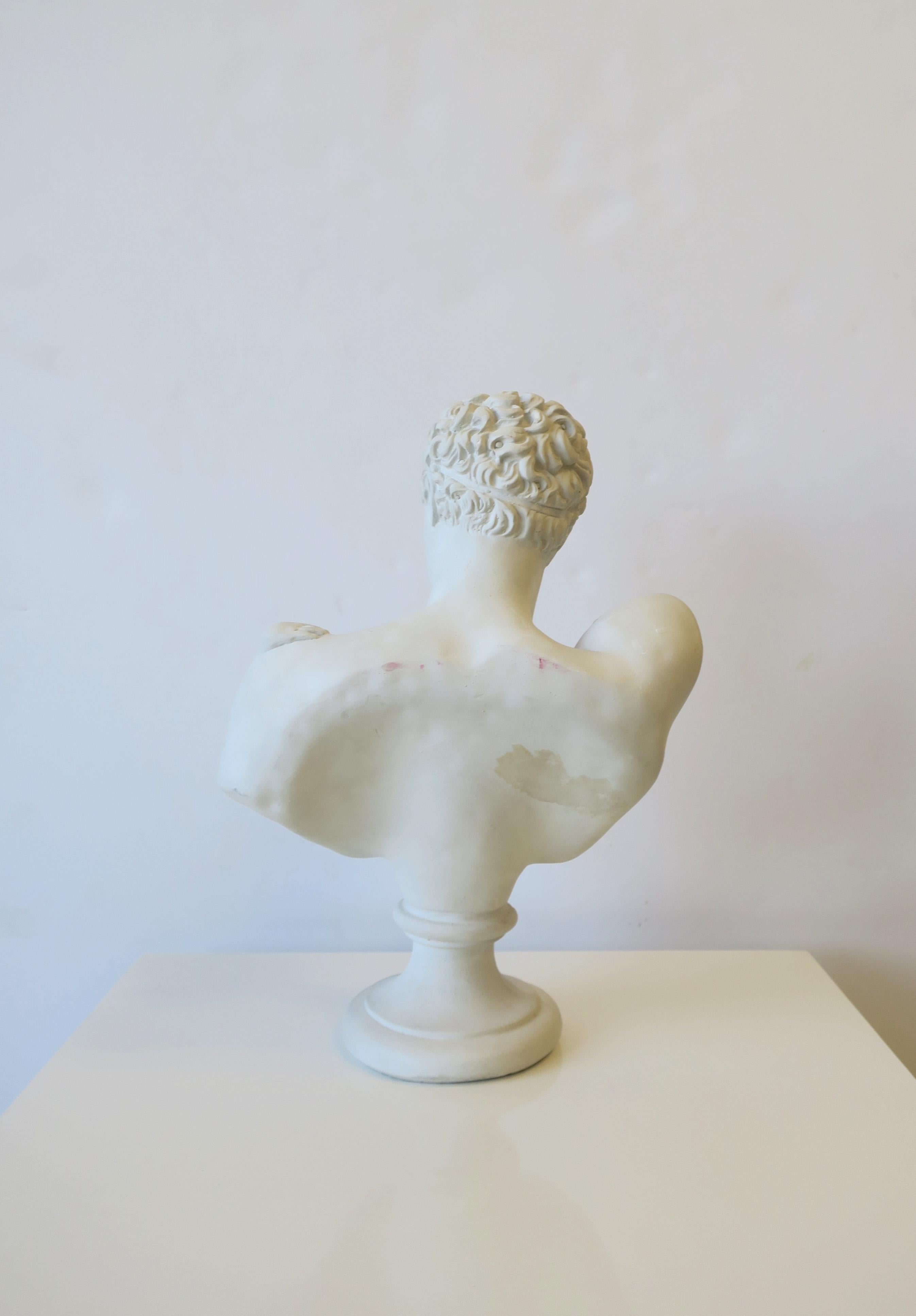 Plaster Bust of Hermes 11