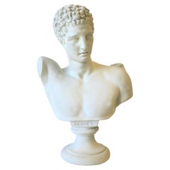 Plaster Bust of Hermes