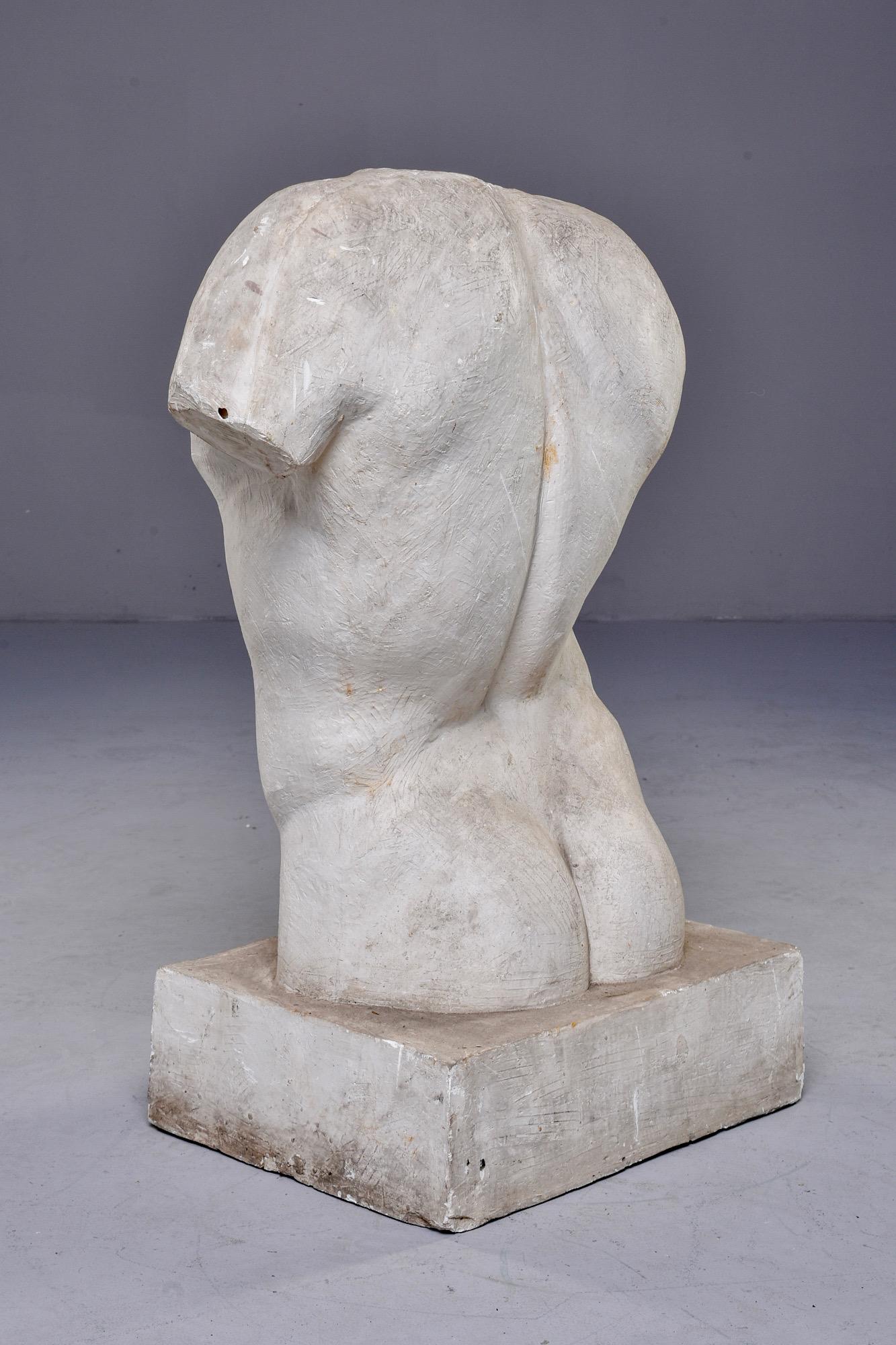 French Plaster Bust of Male Torso