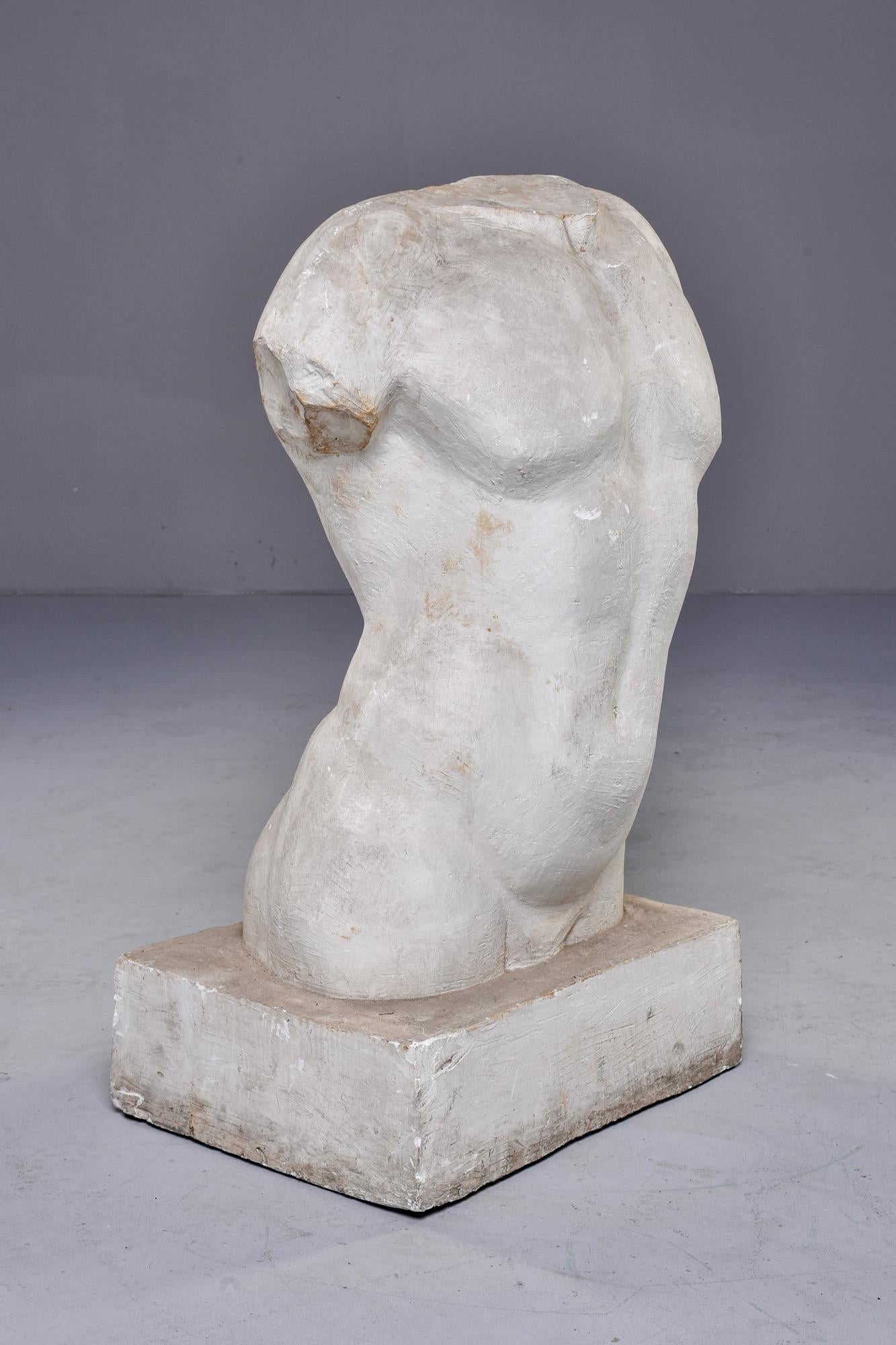 20th Century Plaster Bust of Male Torso
