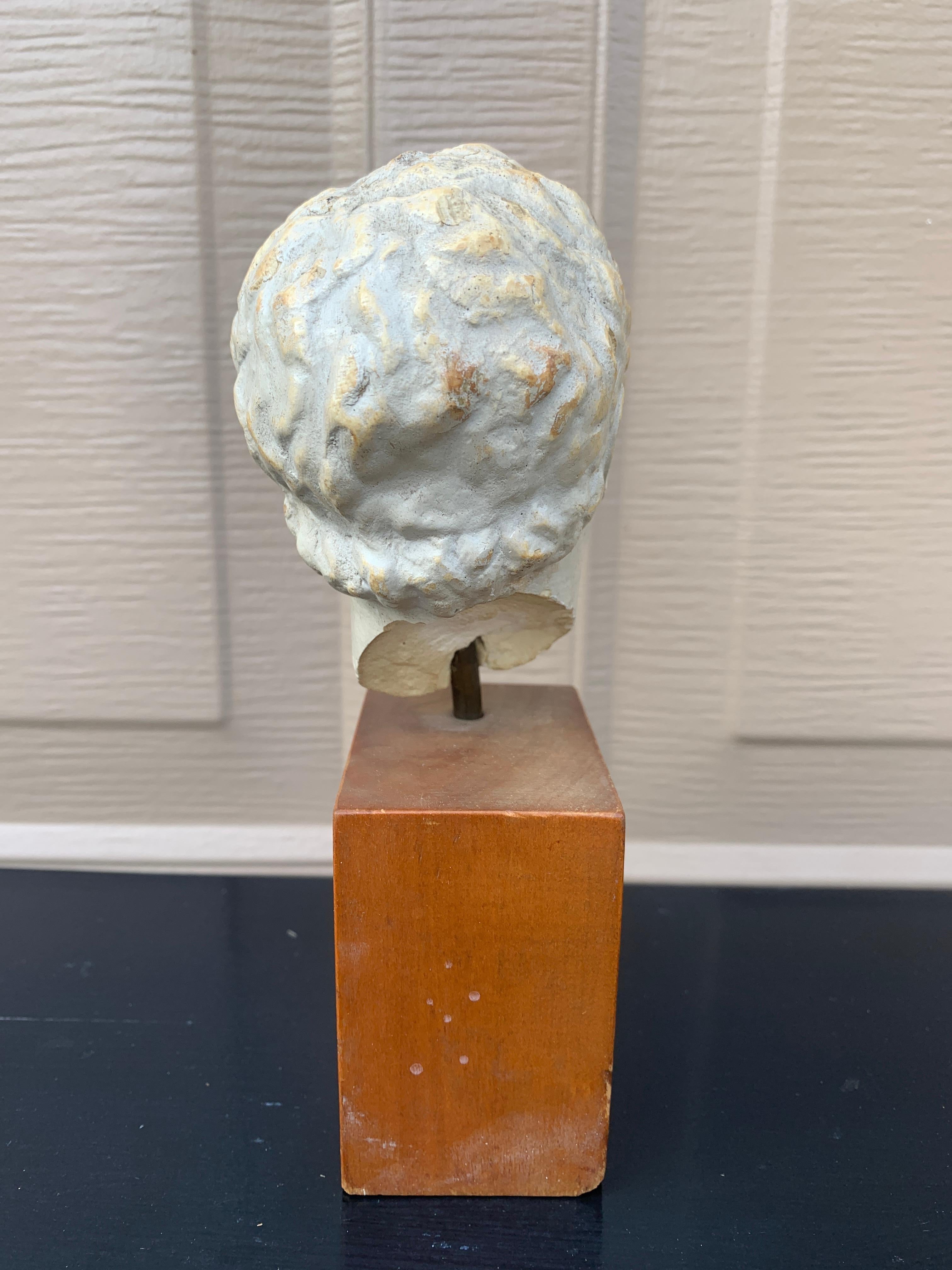 Plaster Bust of Roman Emperor Augustus on Wood Pedestal en vente 3