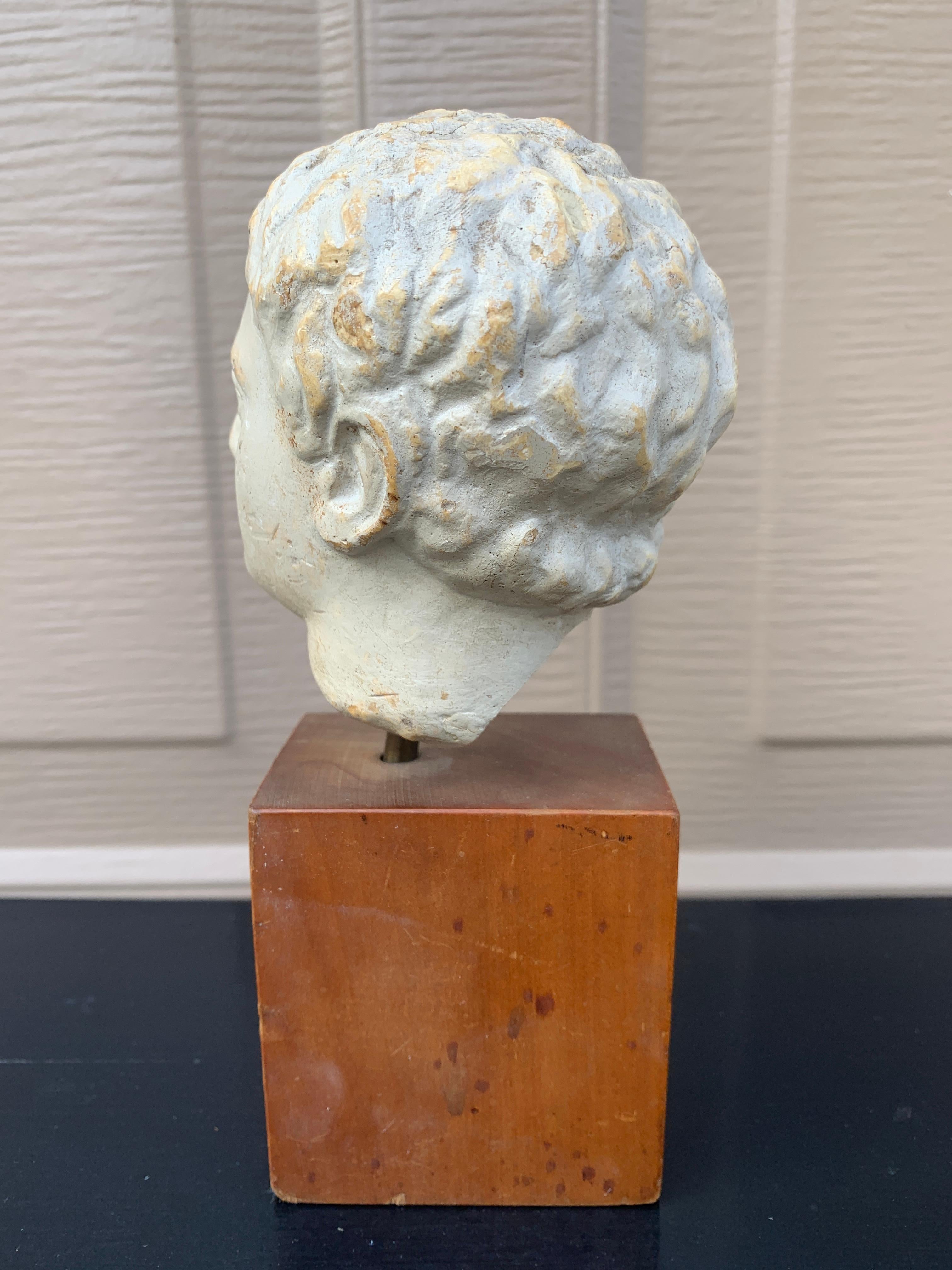 Plaster Bust of Roman Emperor Augustus on Wood Pedestal en vente 2