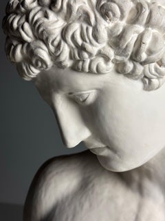 Plaster Buste of Antinous