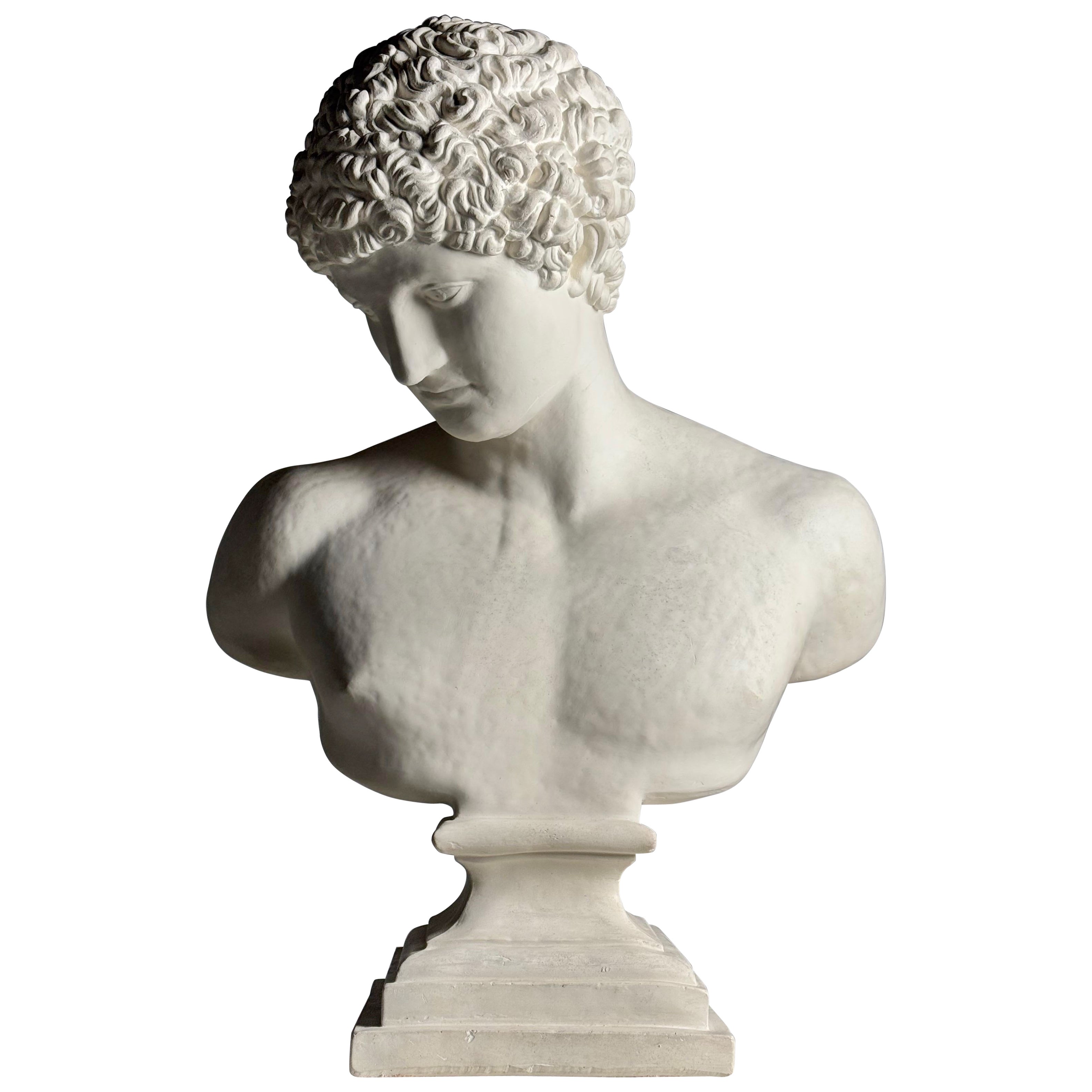 Plaster Buste of Antinous