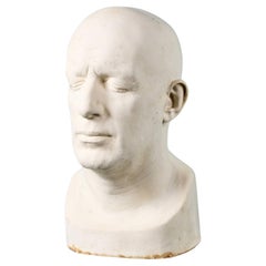 Plaster Cast Bust of a Male Ex. Tucker Collection