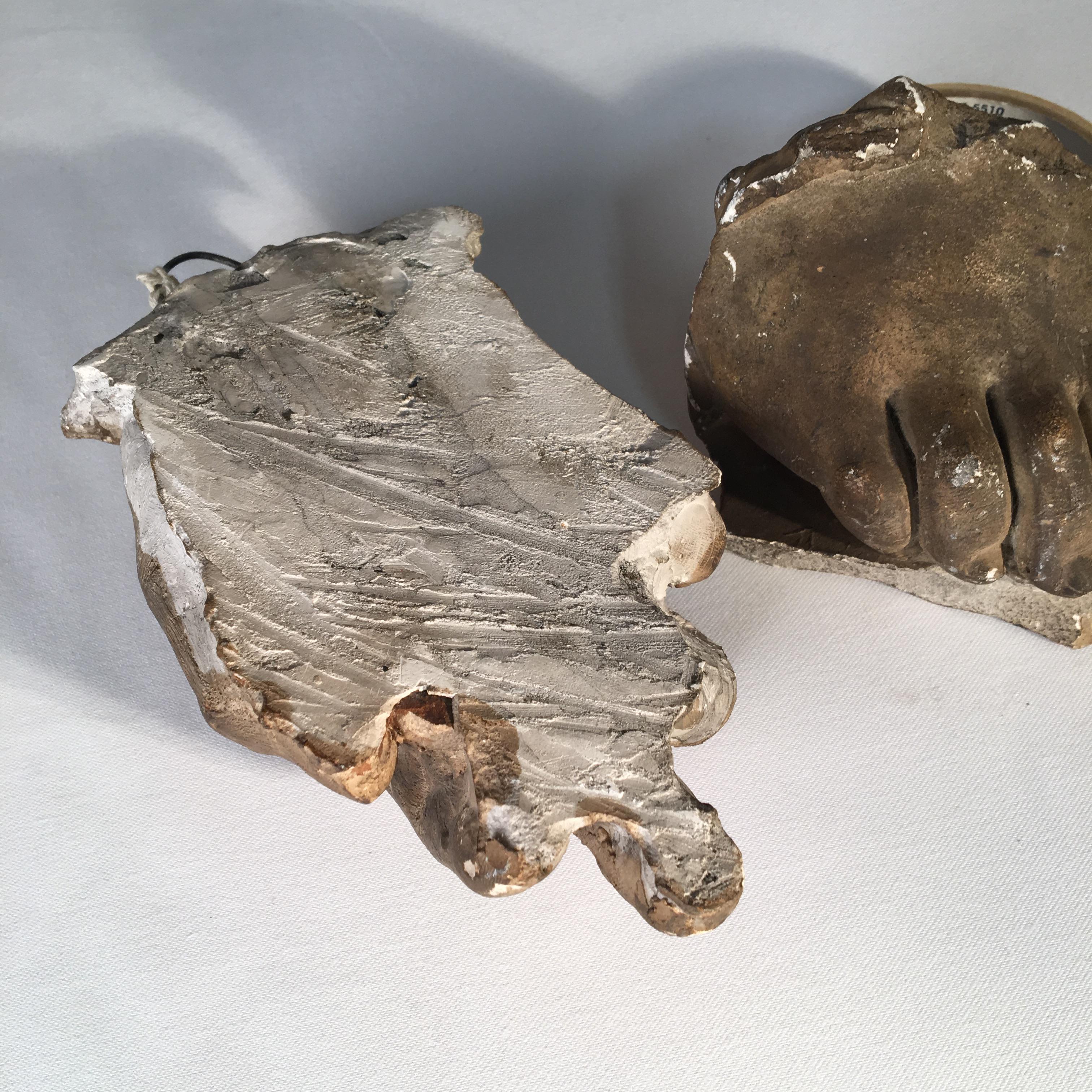 Plaster Cast Foot and Hand, 19th Century In Good Condition In Doylestown, PA