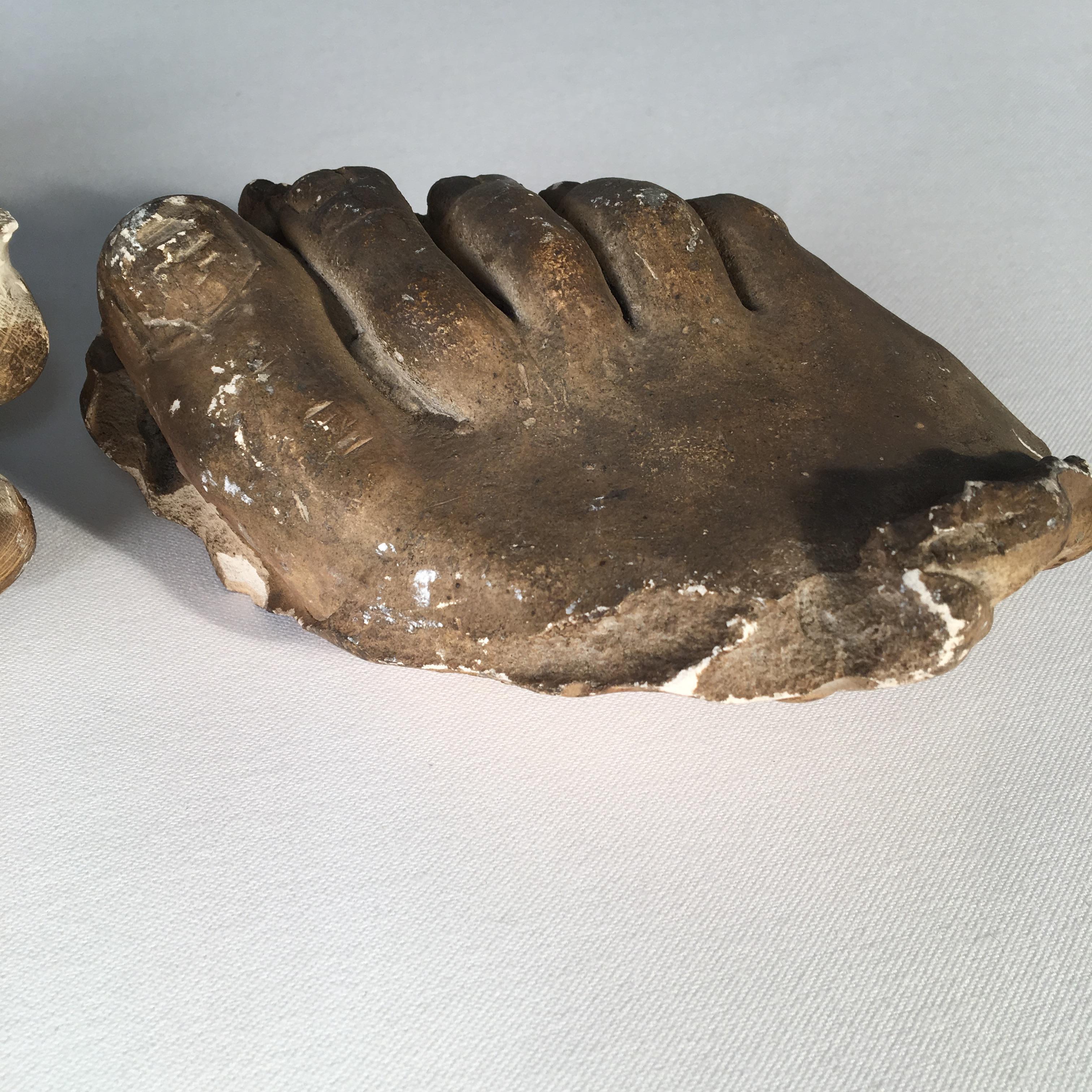 Late 19th Century Plaster Cast Foot and Hand, 19th Century