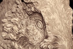 Plaster Cast of Seated Wild Boar after Roman Original