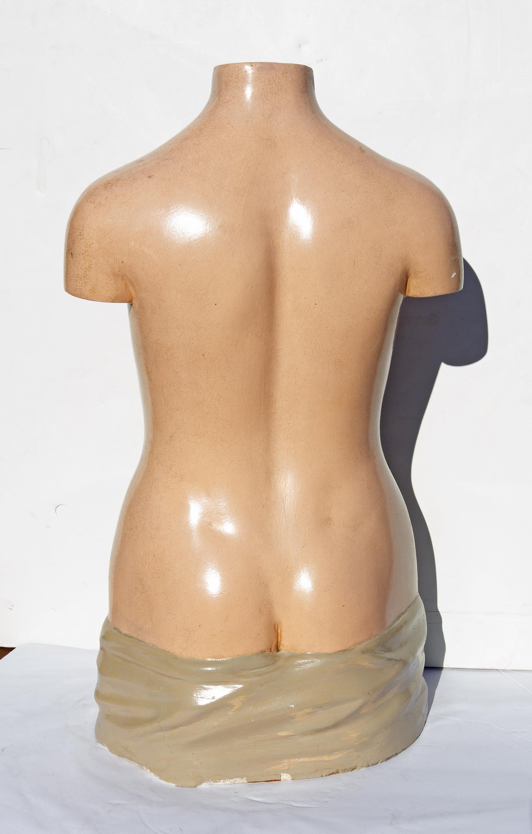 Plaster Educational Human Anatomical Model, German, 1930s 2
