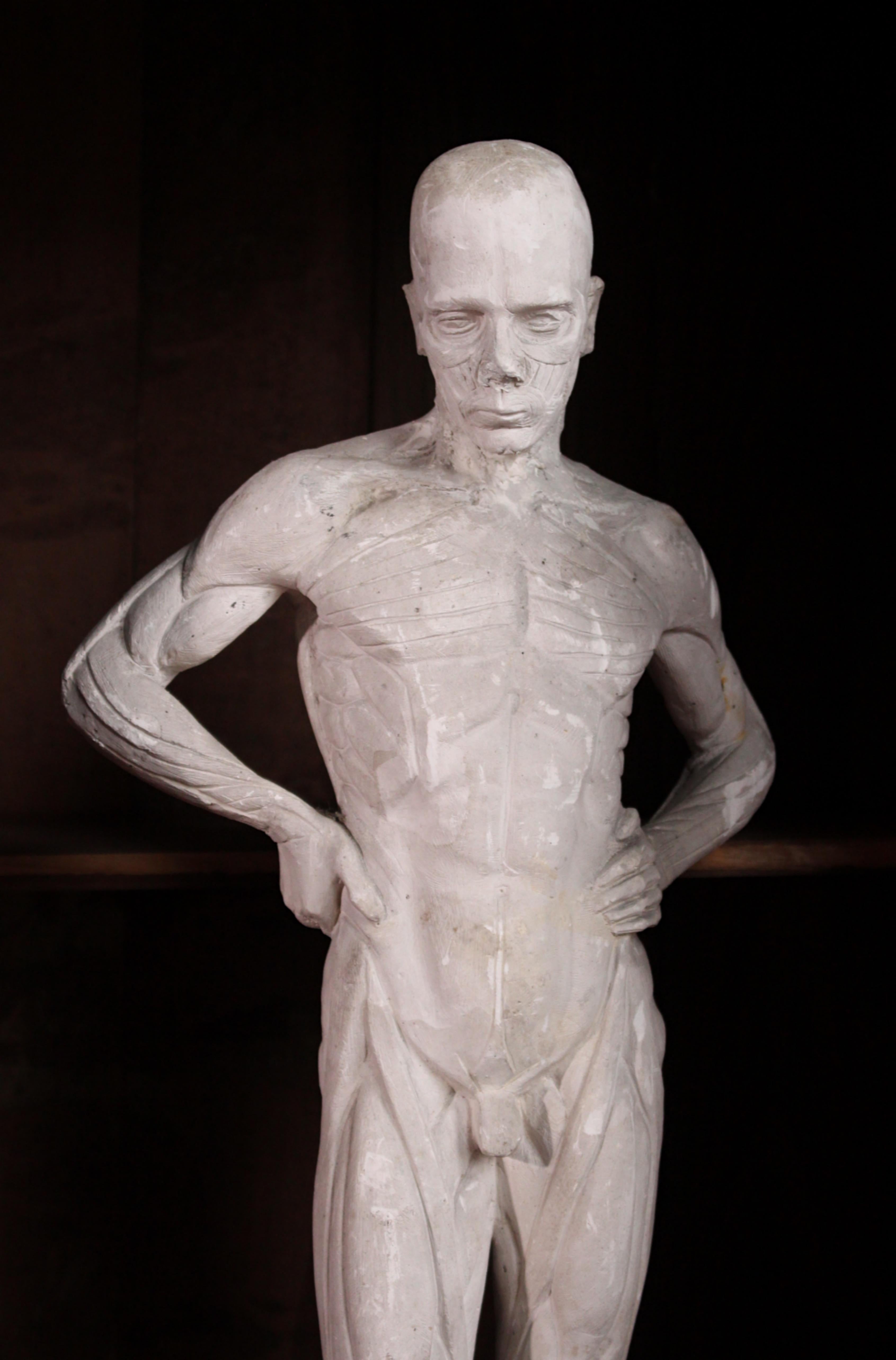 Escultura encoche de escayola de Mary Syme Boyd (1910-1997) Manera de Antoine Houdon en venta 4