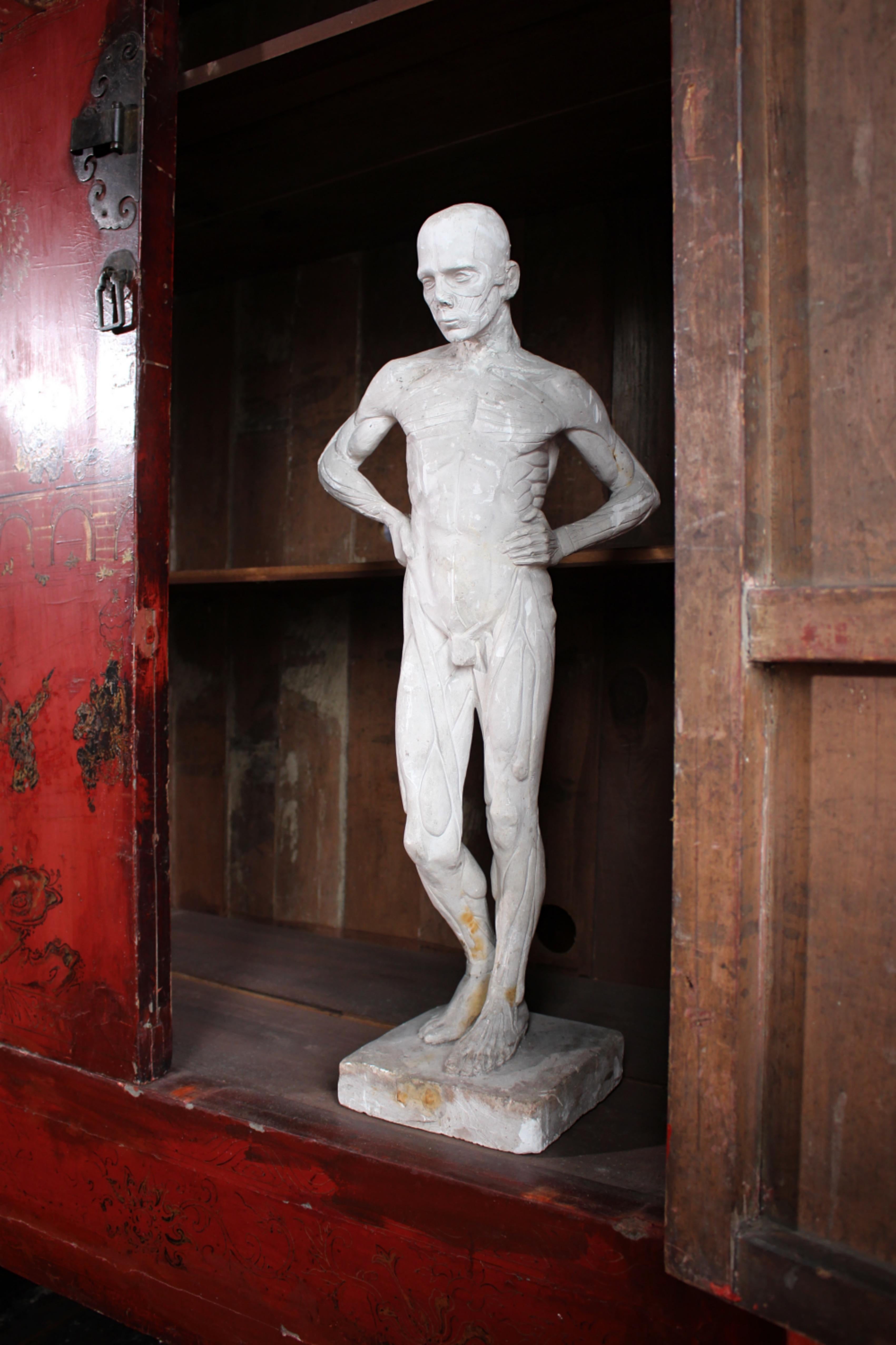 Escultura encoche de escayola de Mary Syme Boyd (1910-1997) Manera de Antoine Houdon en venta 6