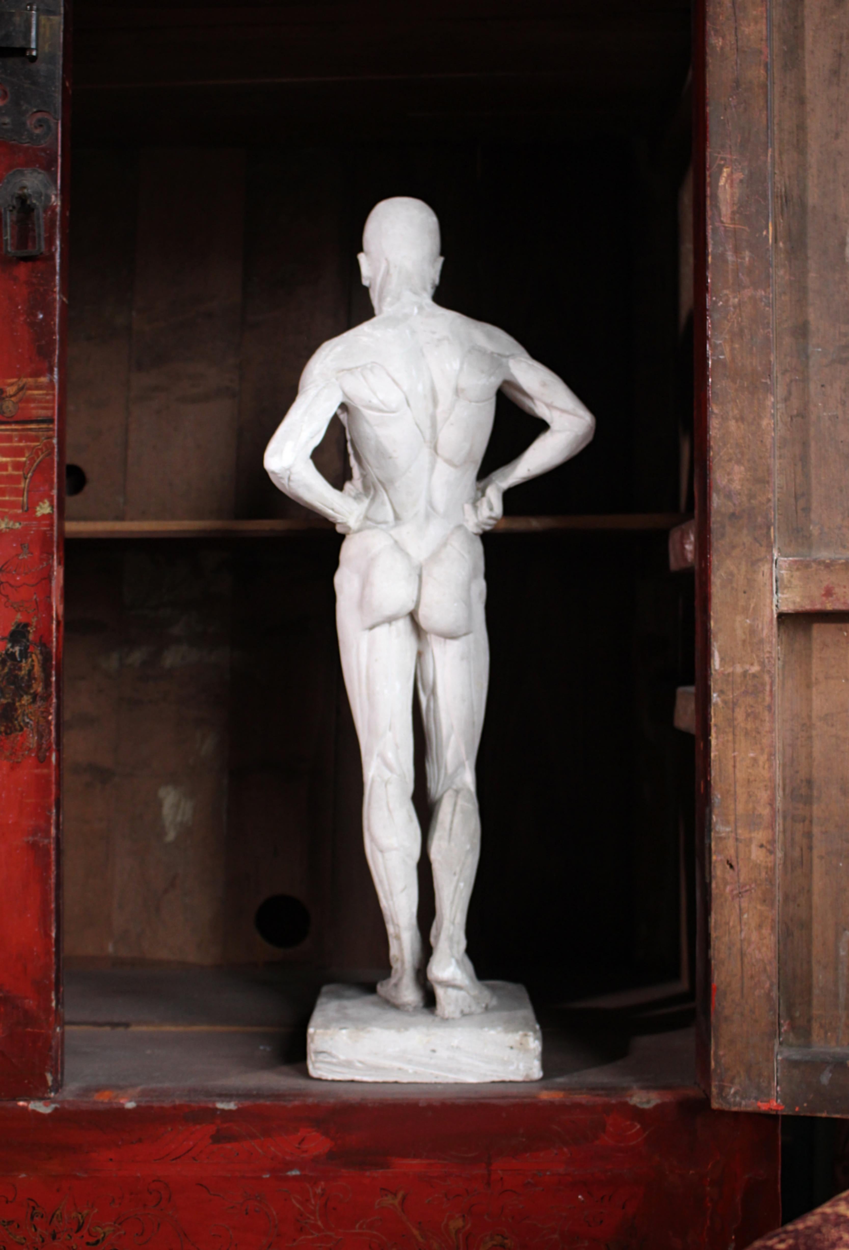 Escultura encoche de escayola de Mary Syme Boyd (1910-1997) Manera de Antoine Houdon en venta 11