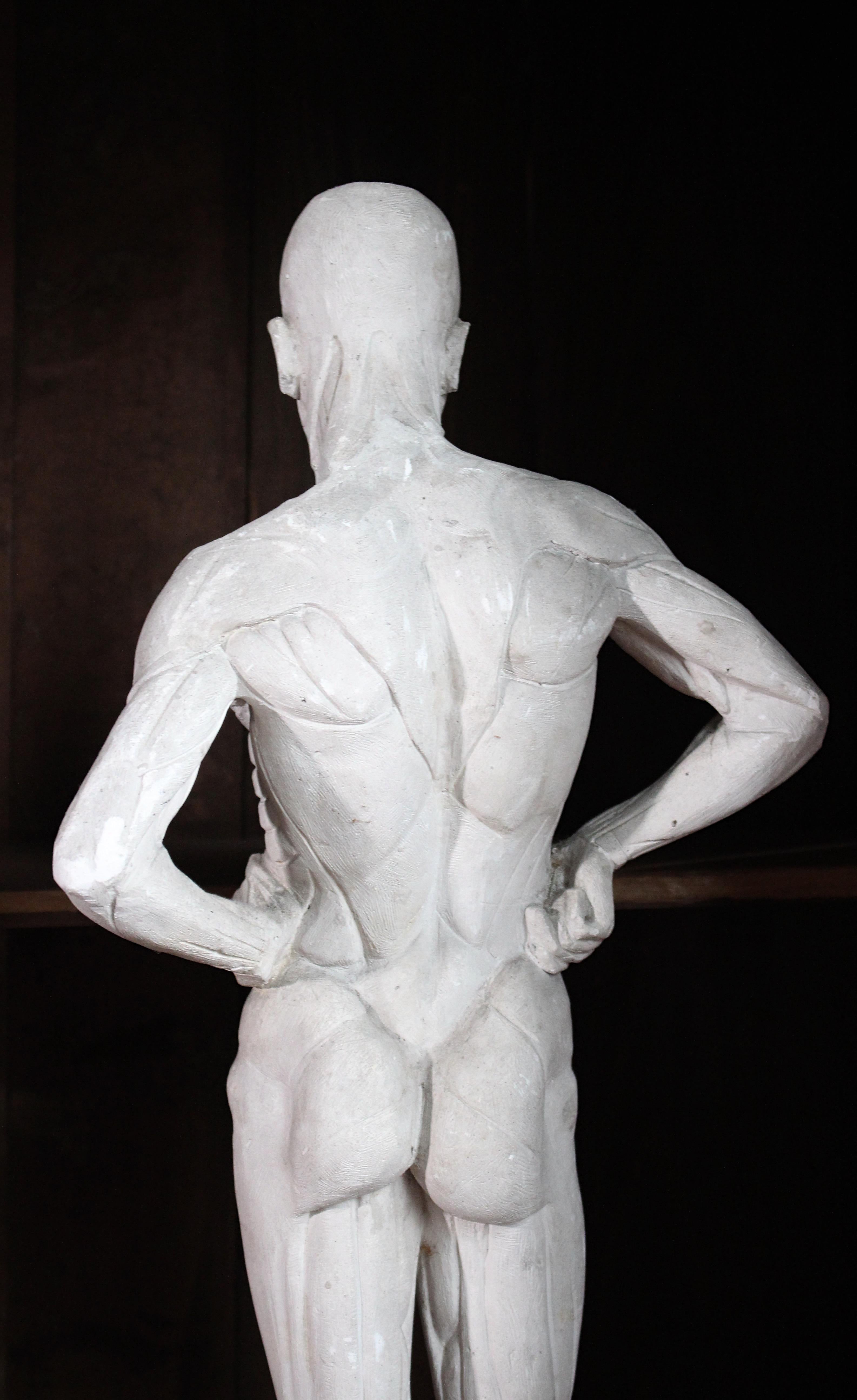 Escultura encoche de escayola de Mary Syme Boyd (1910-1997) Manera de Antoine Houdon en venta 12