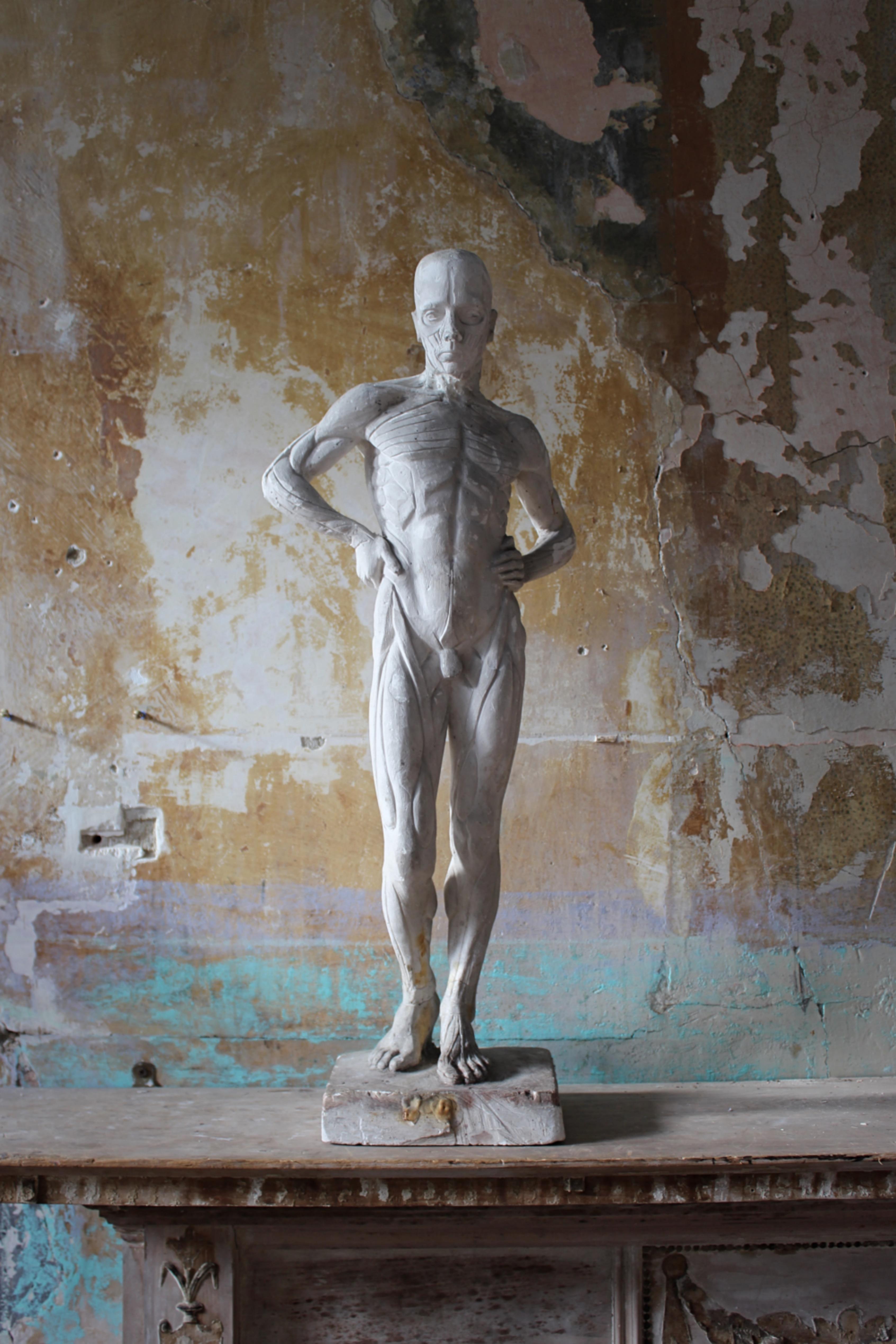 Escultura encoche de escayola de Mary Syme Boyd (1910-1997) Manera de Antoine Houdon Escocés en venta