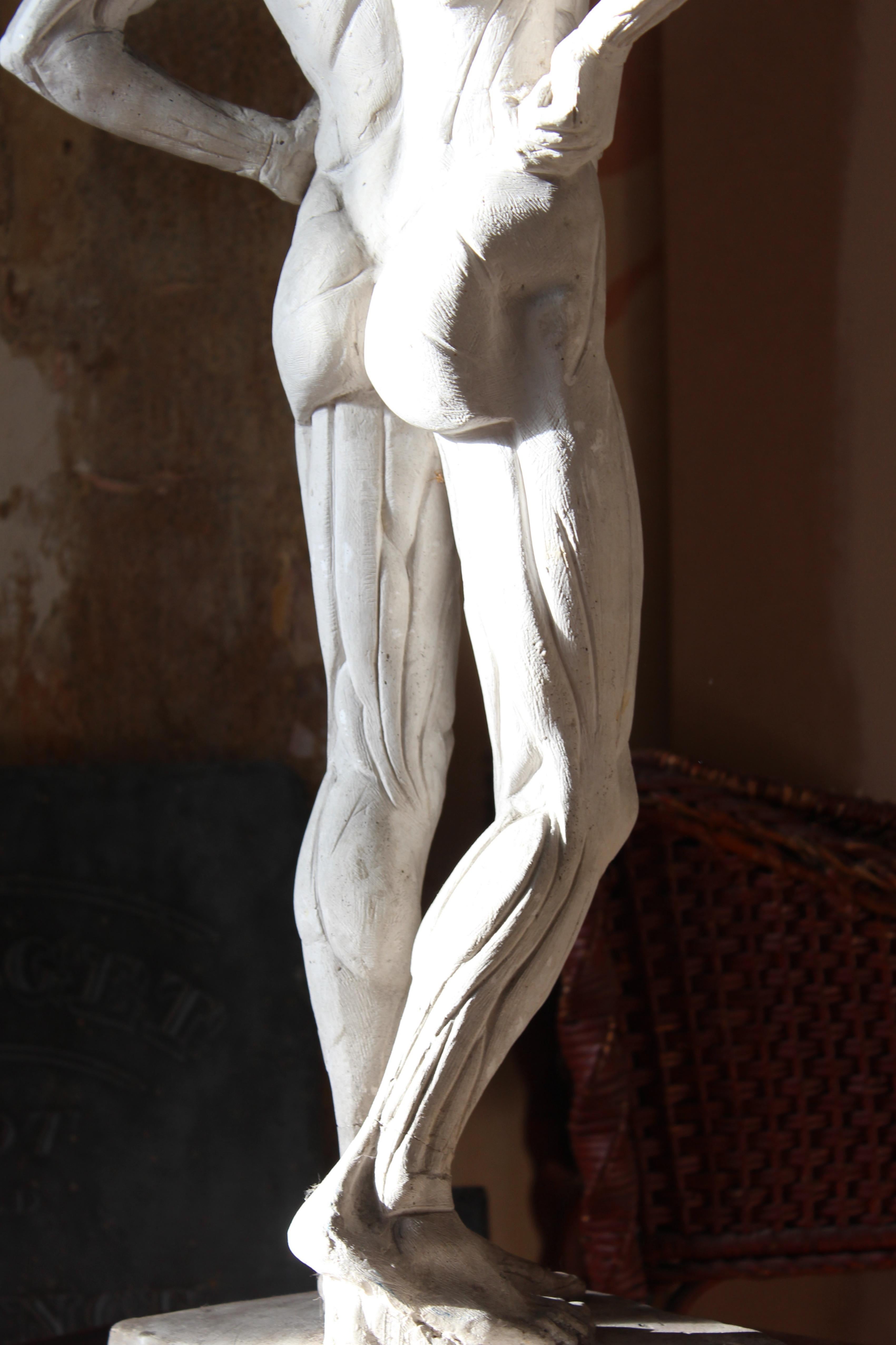 Escultura encoche de escayola de Mary Syme Boyd (1910-1997) Manera de Antoine Houdon mediados del siglo XX en venta